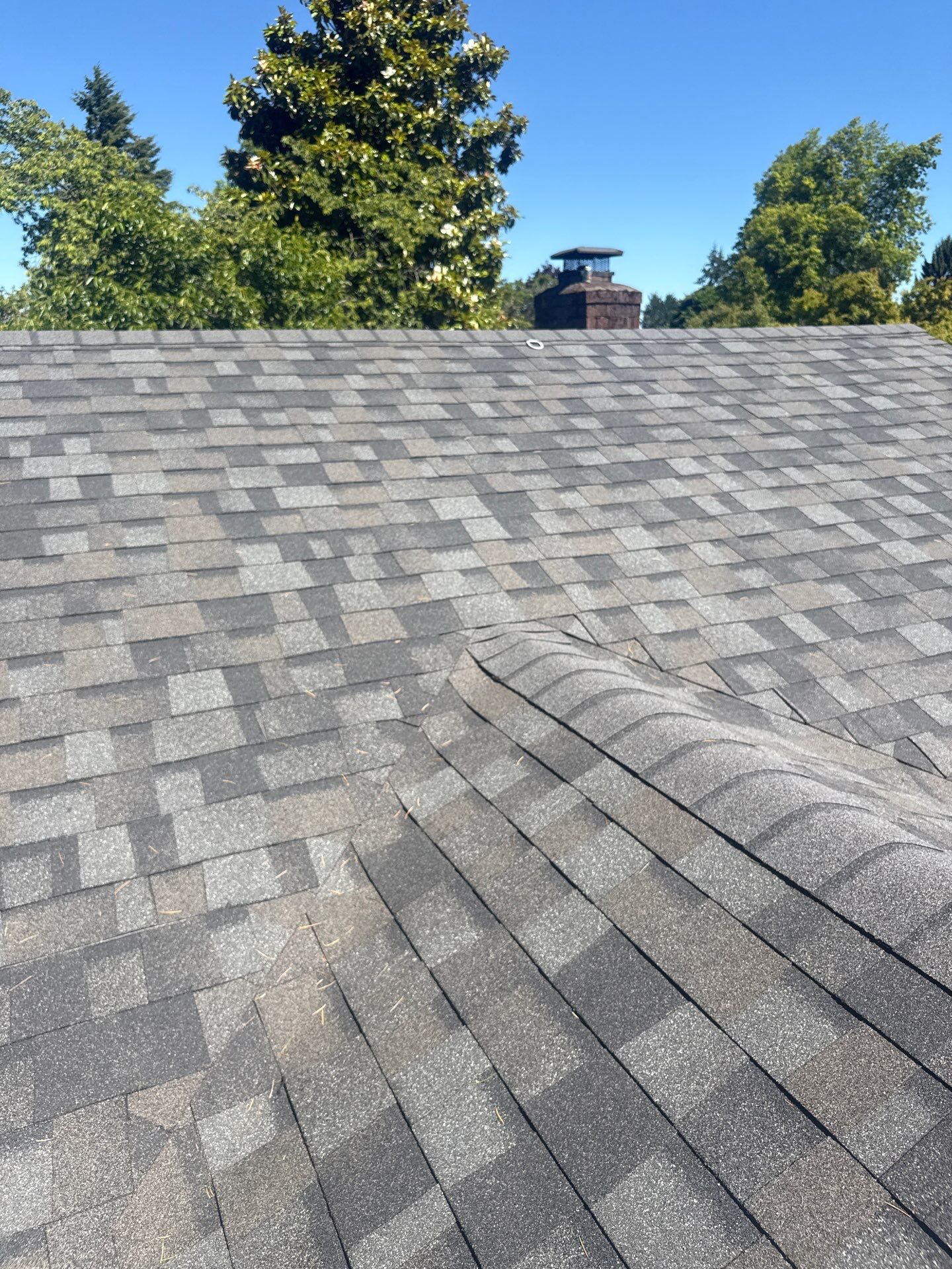 Residential Asphalt Shingle Reroof and Fascia Replacement in Eugene by BEST Roofing & Waterproofing