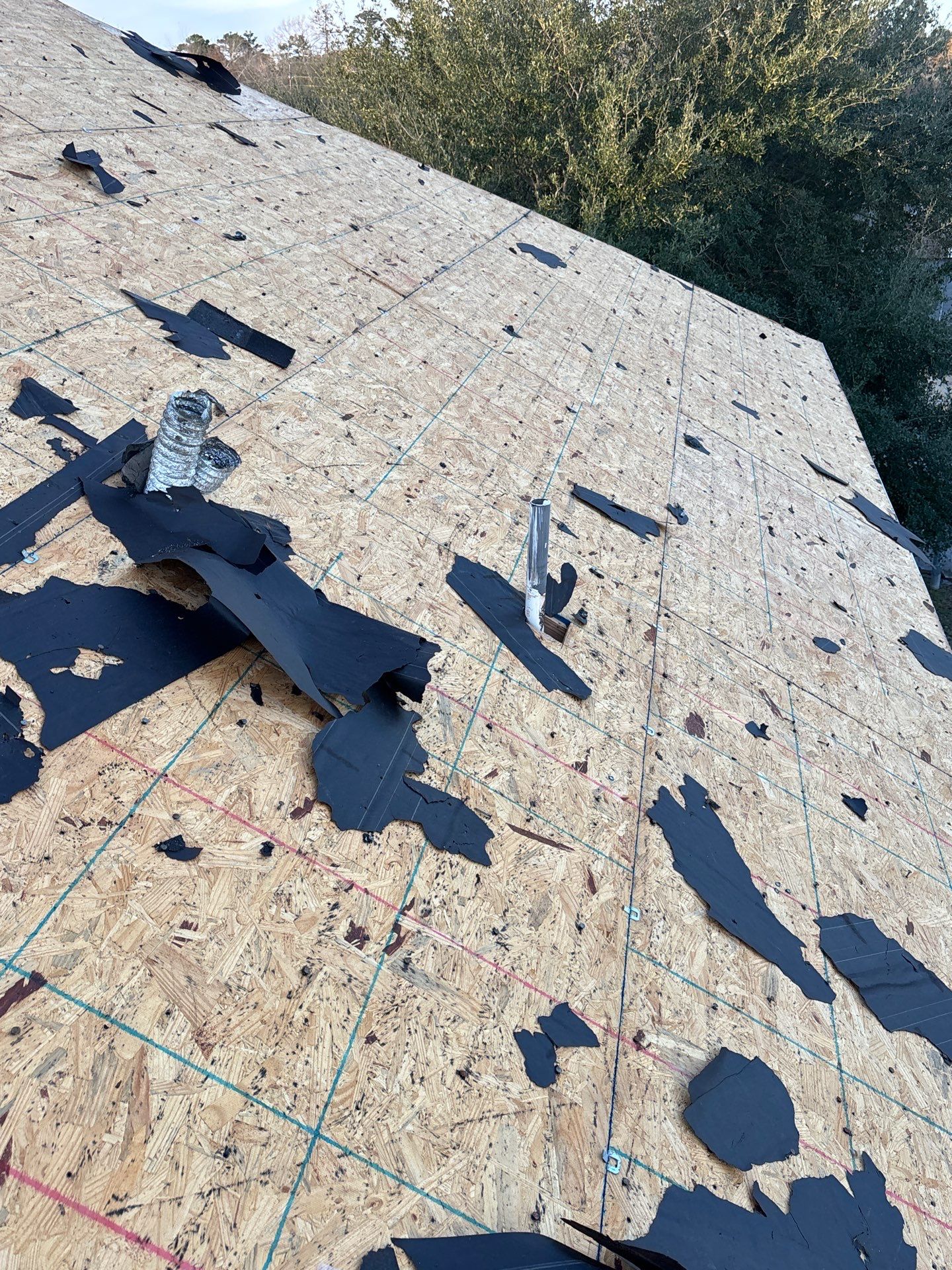 Roof Replacement Spring by Roof Repair Company