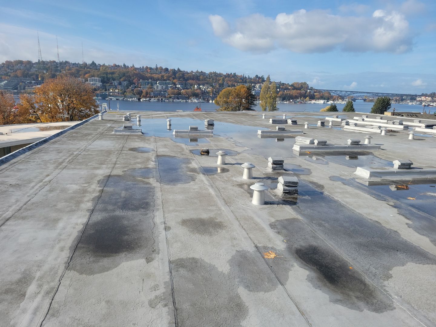 2026 Seattle Multi Family Overlay by Alternative Roofing Systems Inc. 