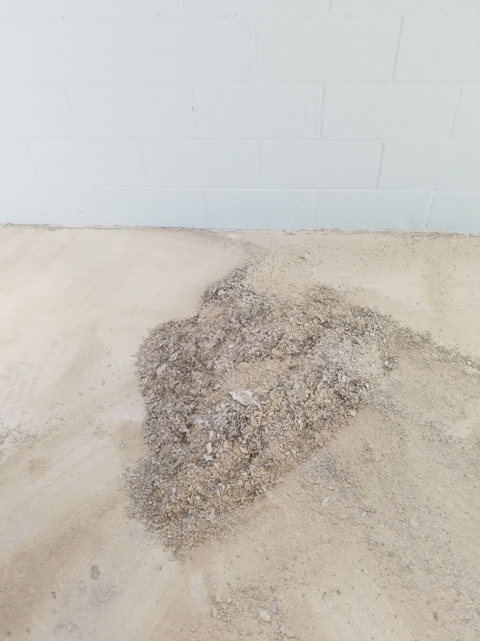 Kennel Floor Coating and Wall Painting using Penntek by Spectrum Painting, LLC