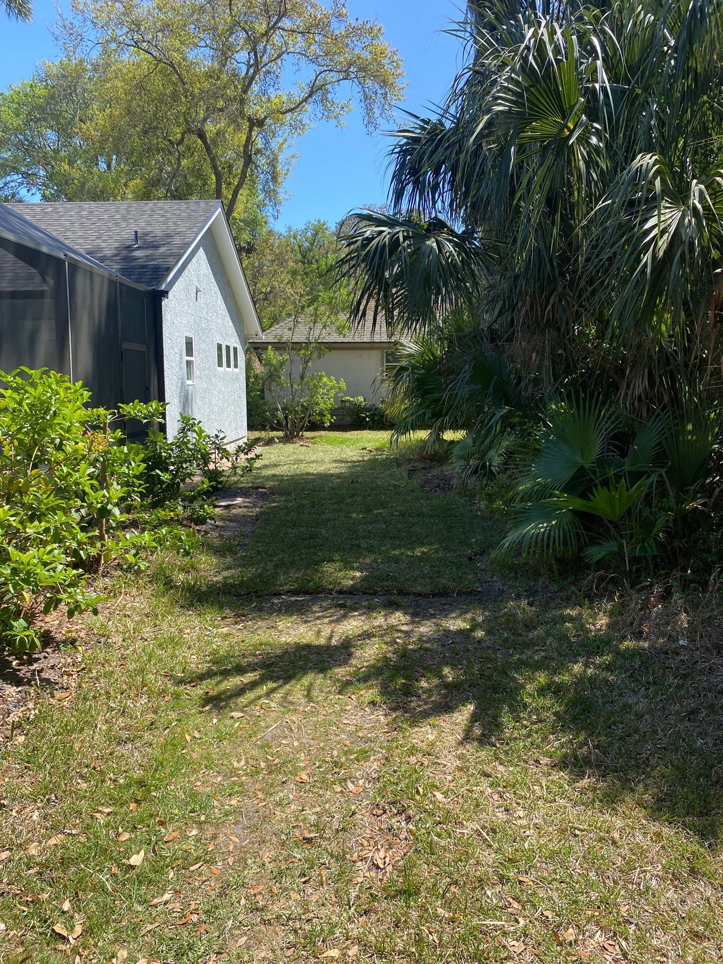 Residential | Sod Installation by ProGreen Services