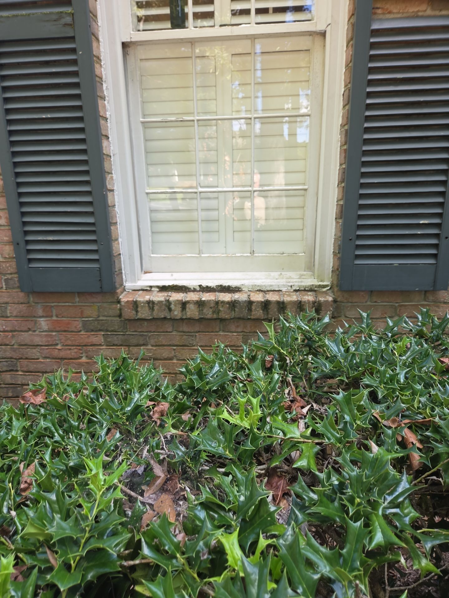 Florio Project in Vestavia  by The Window Source