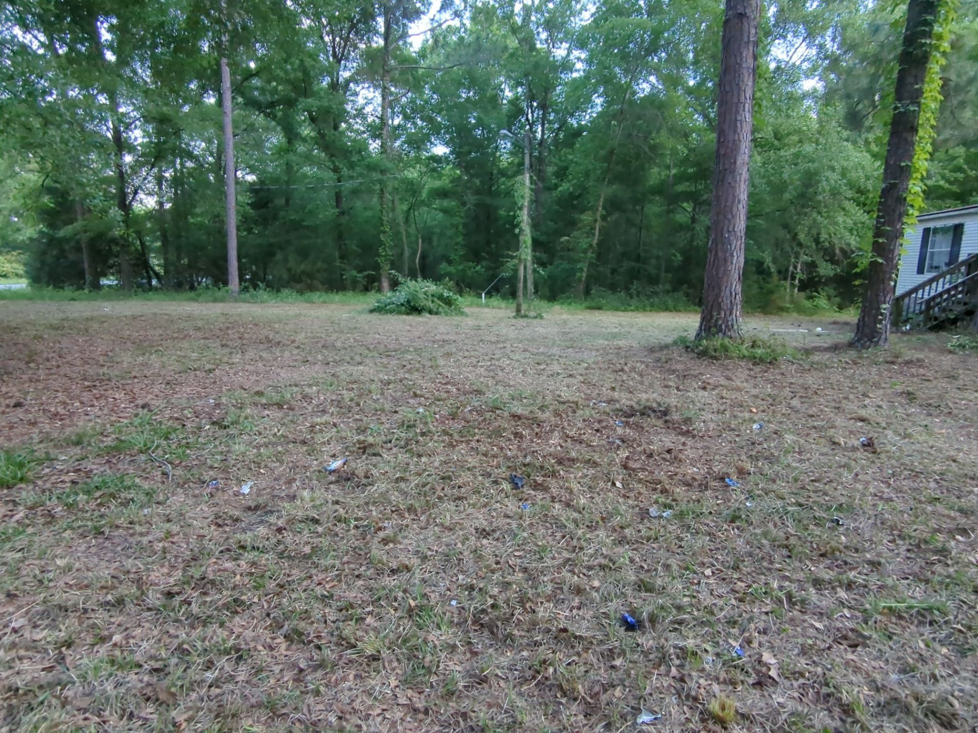 Exterior Clearing - tree trimming - grass cut by Swift Signings and Services LLC