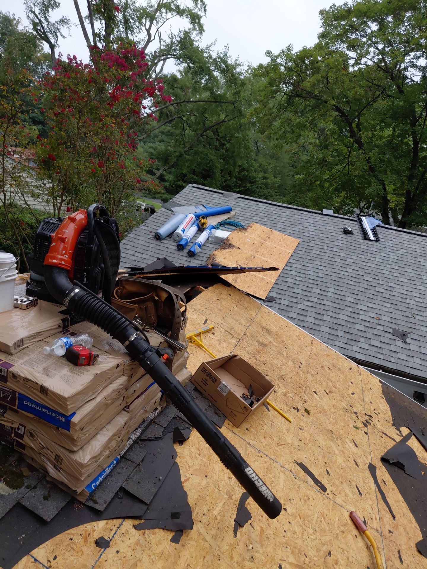 Springfield : with CertainTeed Landmark Pro in Max Def Cobblestone Gray  by RM Banning, Inc.