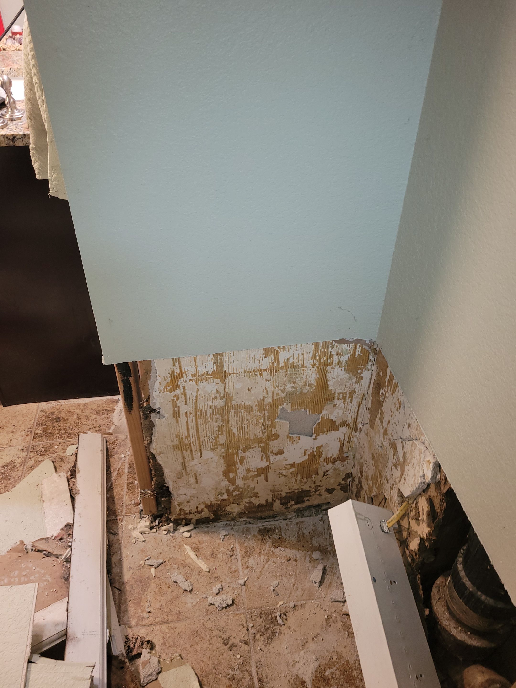 Water Damage and Mold Remediation by Accountable Home Services