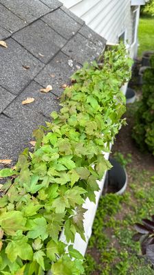Turtle Shell gutter protection installation in Warrenville, IL 60555, photograph 23