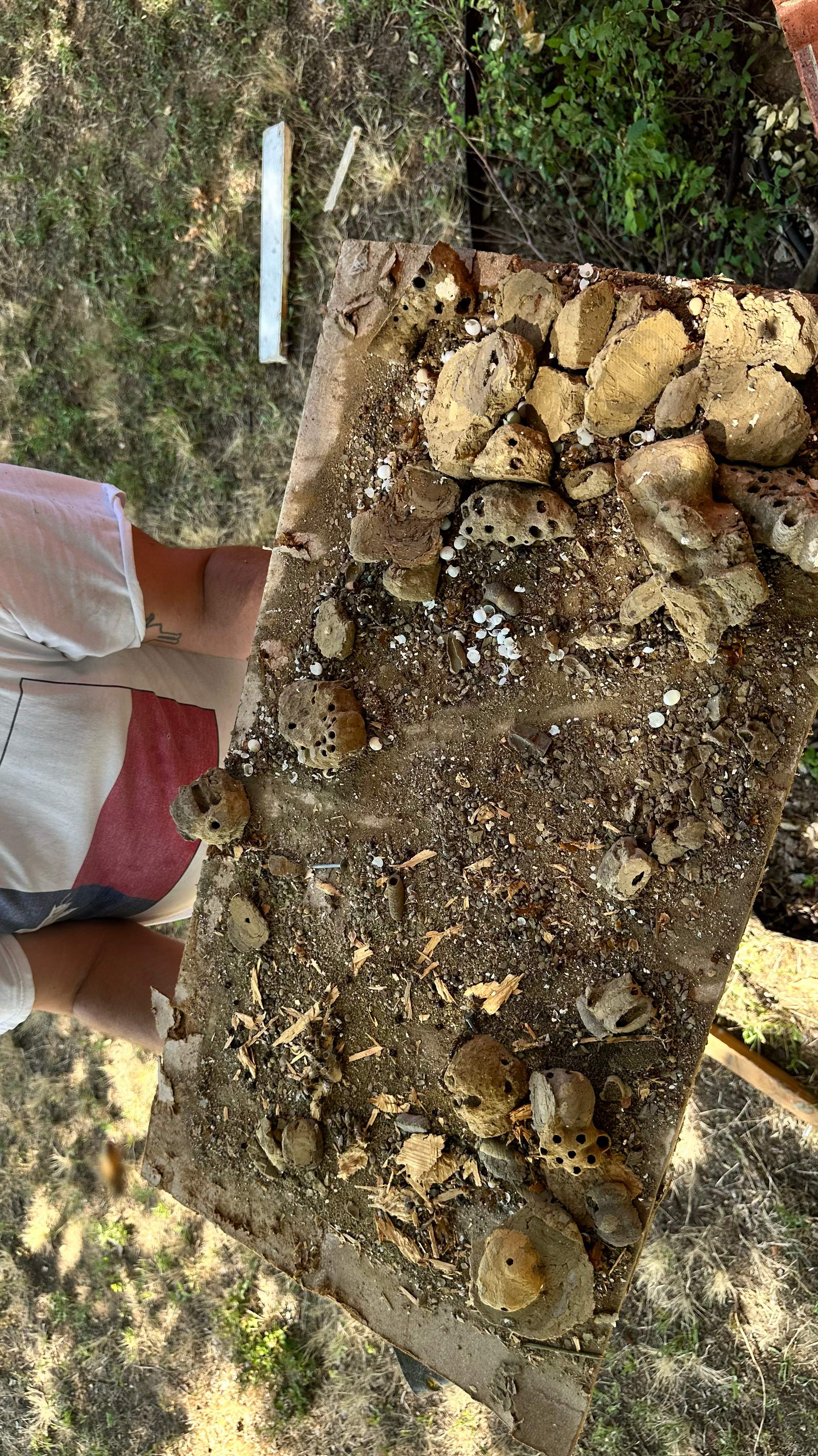 Soffits! by Rockwall Honey Bee Company