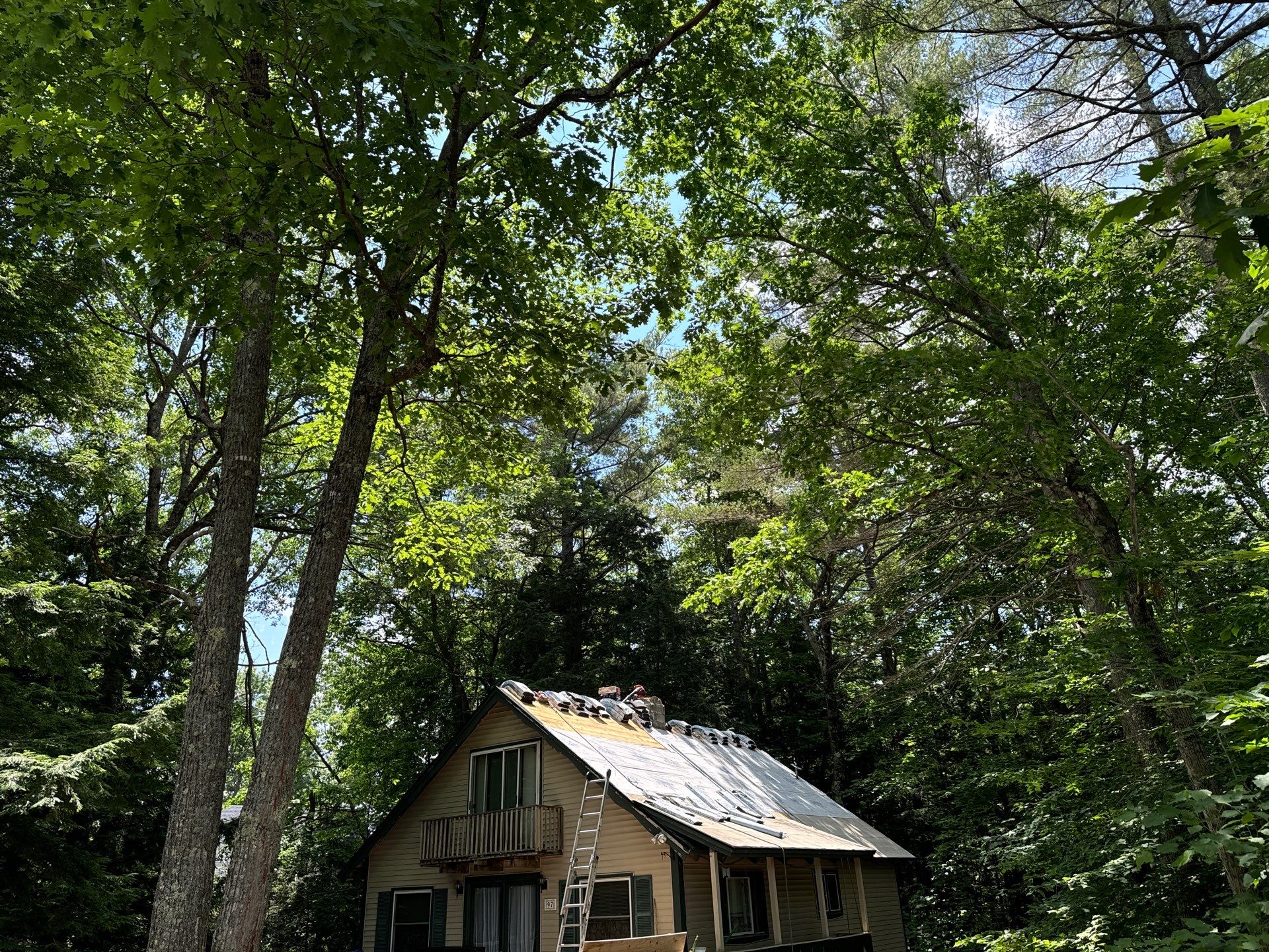 New Roof in Sanbornville, NH by Tall pine roofing