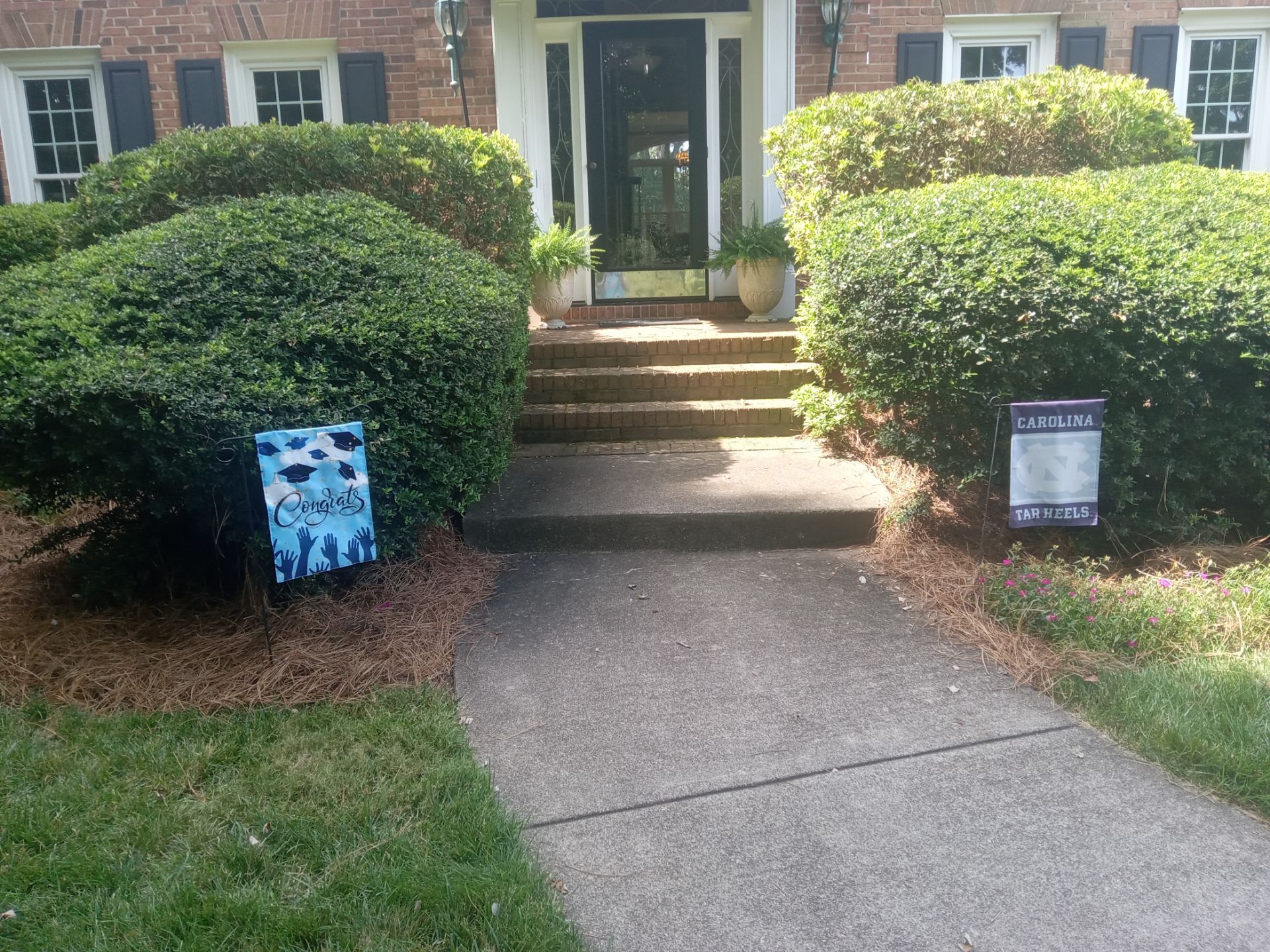 cleaning concrete walkway and steps removing dirt and grime restoring appearance