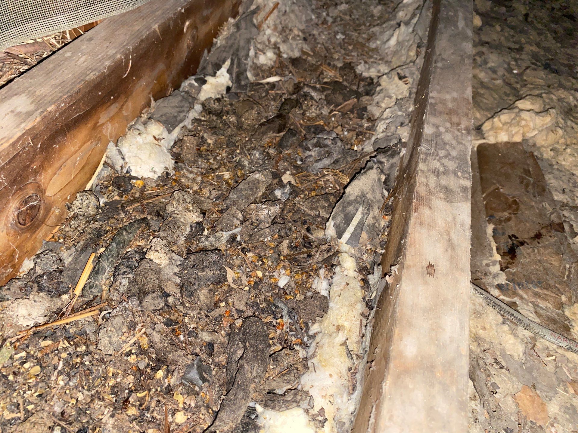Rodent cleanup and insulation upgrade in Beaver Falls, PA 15010 by Home Environment Solutions