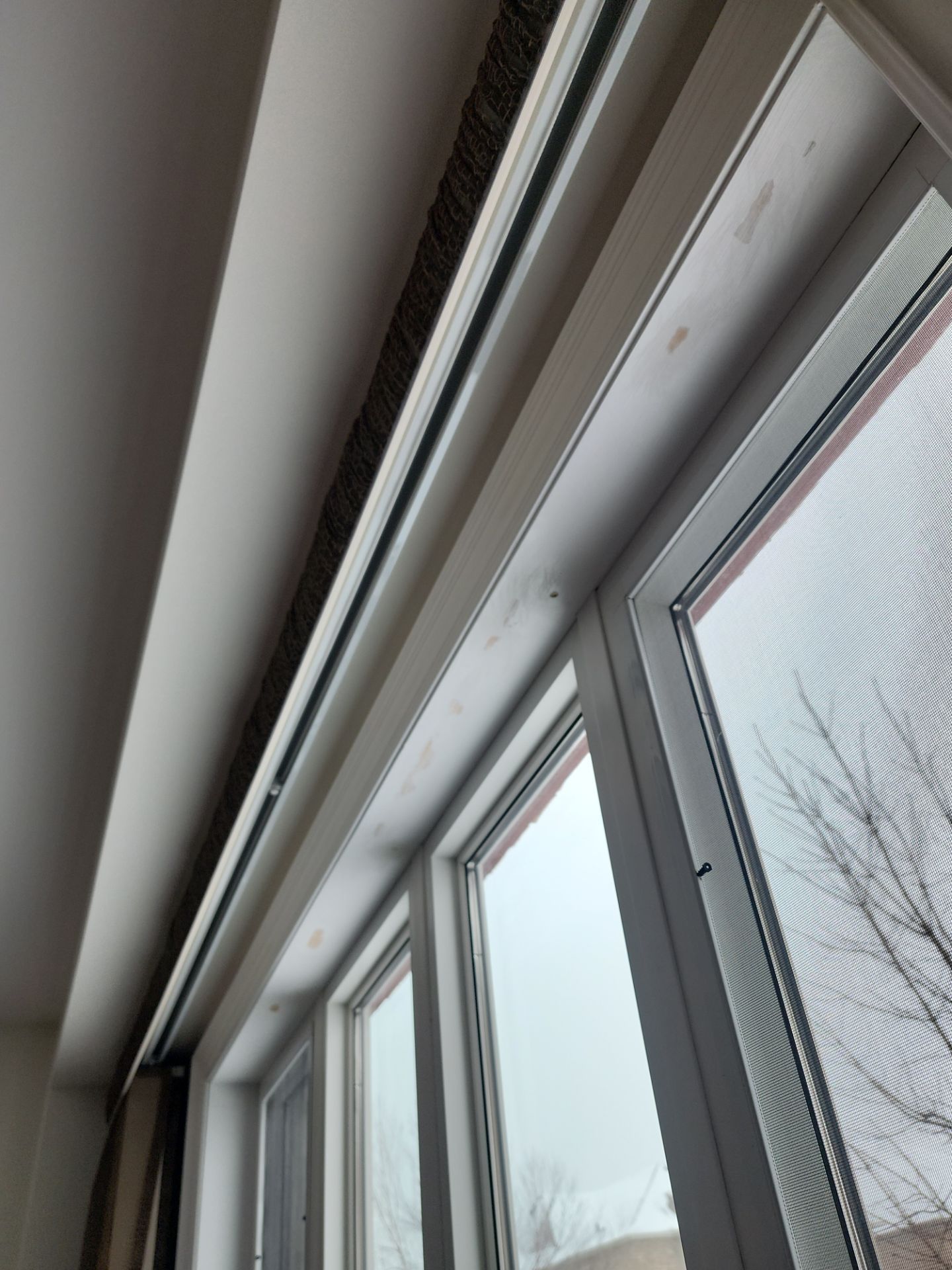 Project by GTA HOME PAINTING by GTA HOME PAINTING