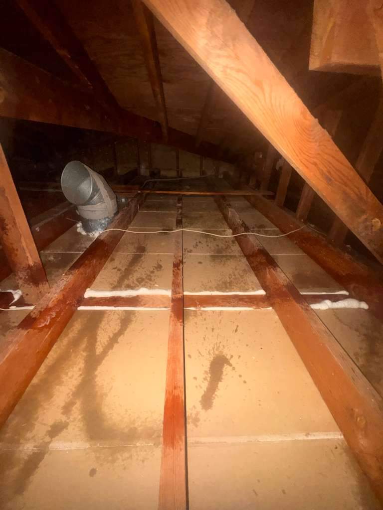 Project by Advanced Attic Solutions by Advanced Attic Solutions