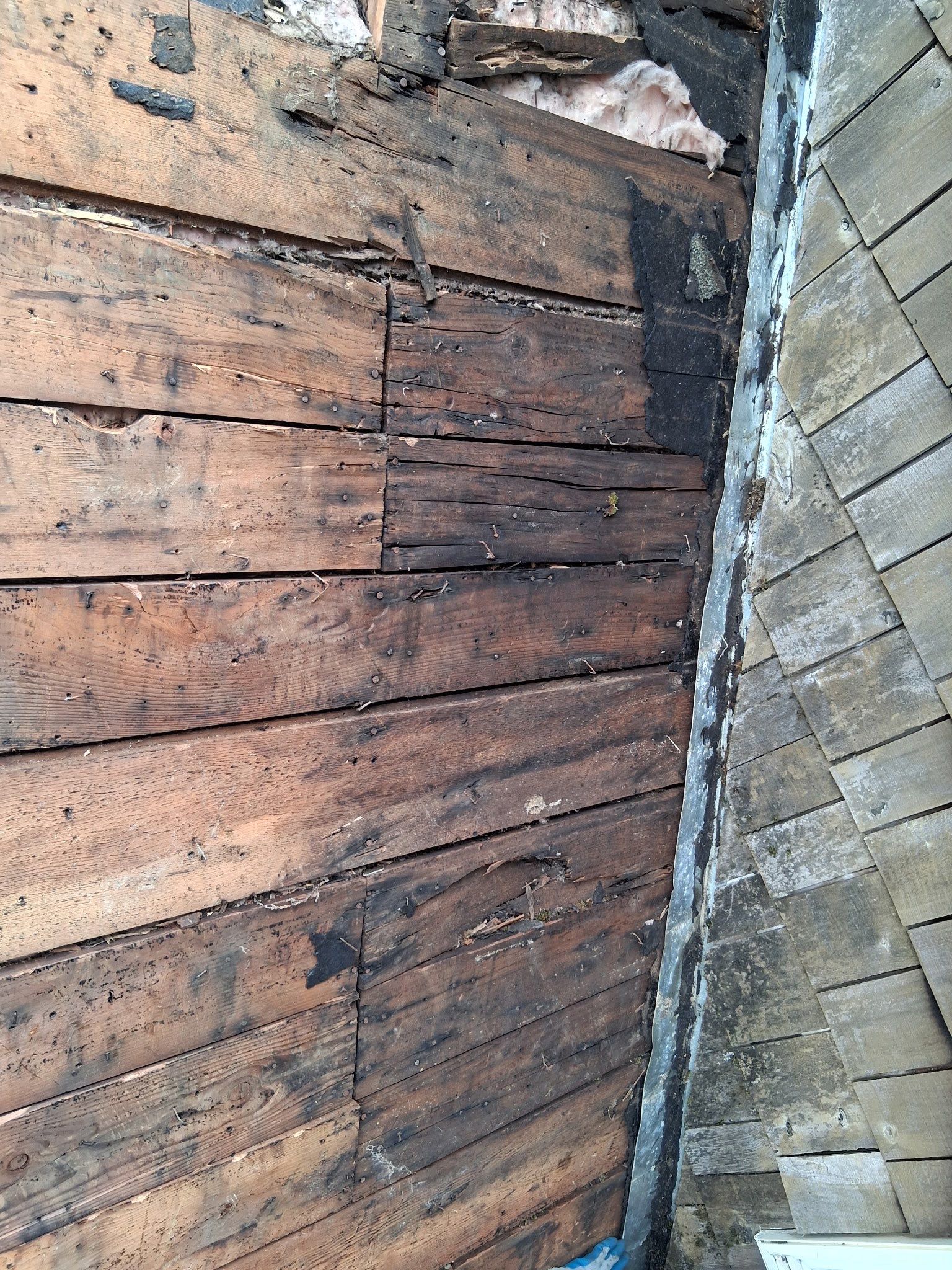 Project in Gresham by Tom Leach Roofing