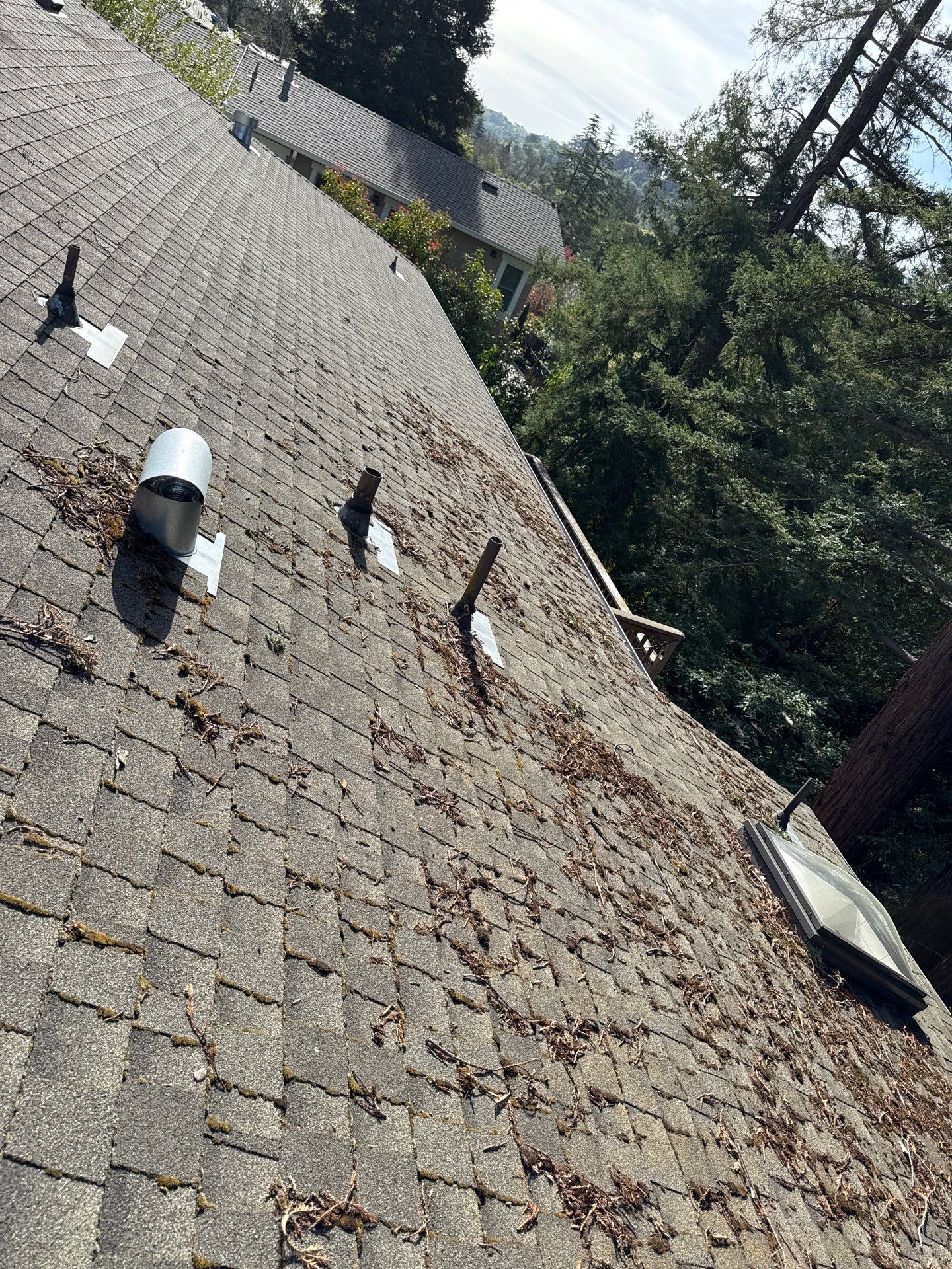 Soft Wash by Top Elevation