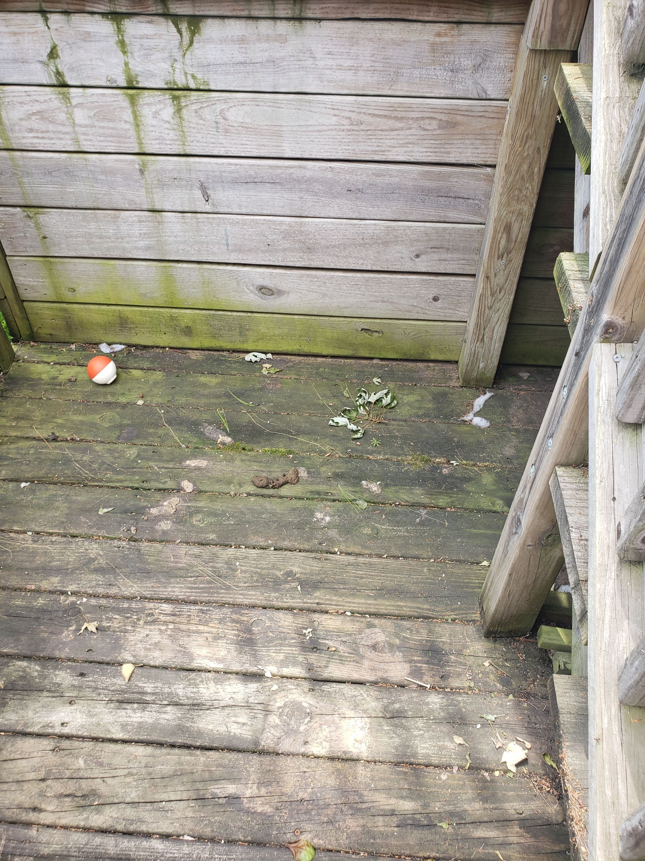 Isaac's Deck Restoration by Map Quality Fencing & Decks