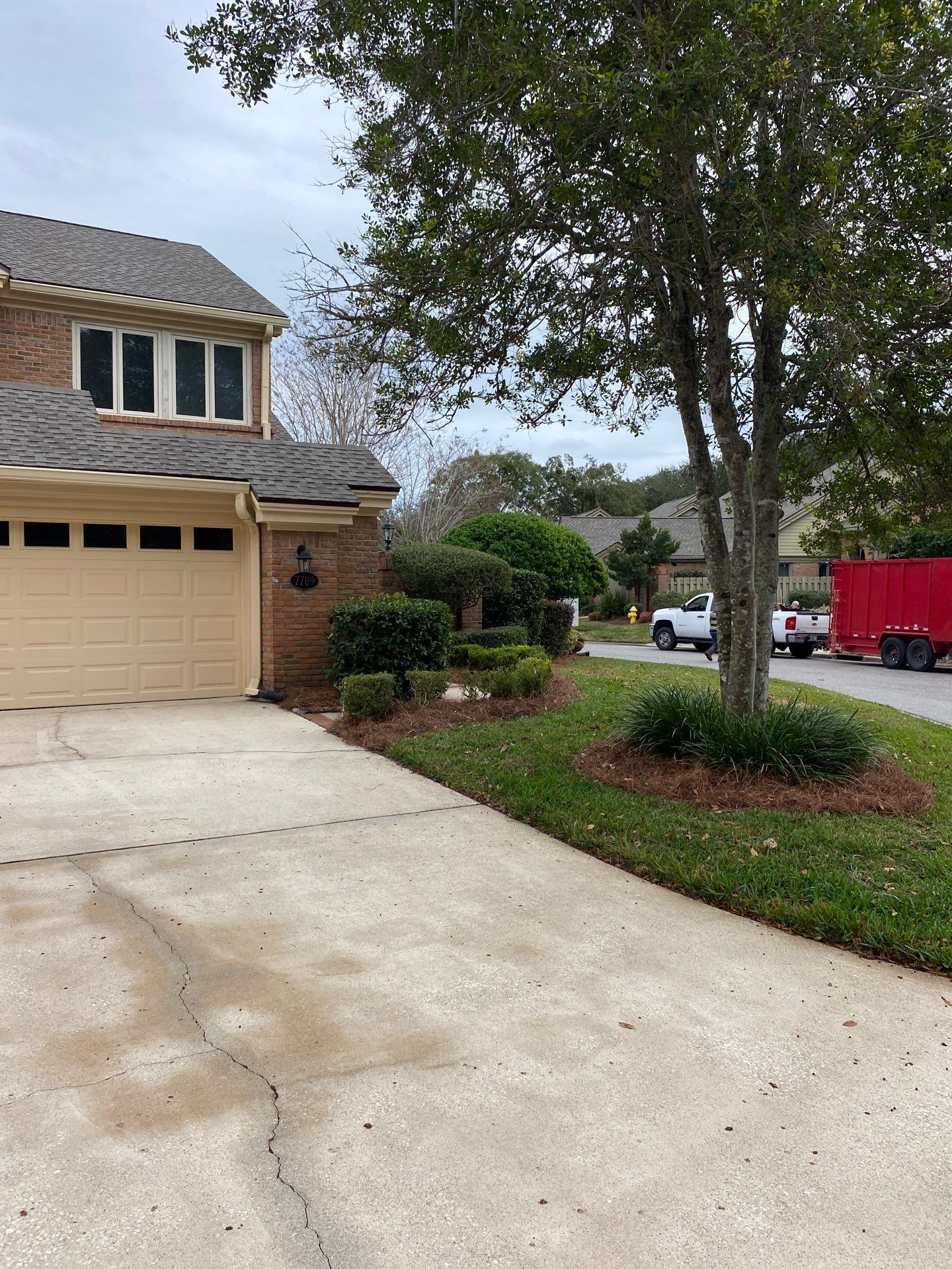 Deerwood Pointe | Tree Removal & Pine Straw Installation by ProGreen Services