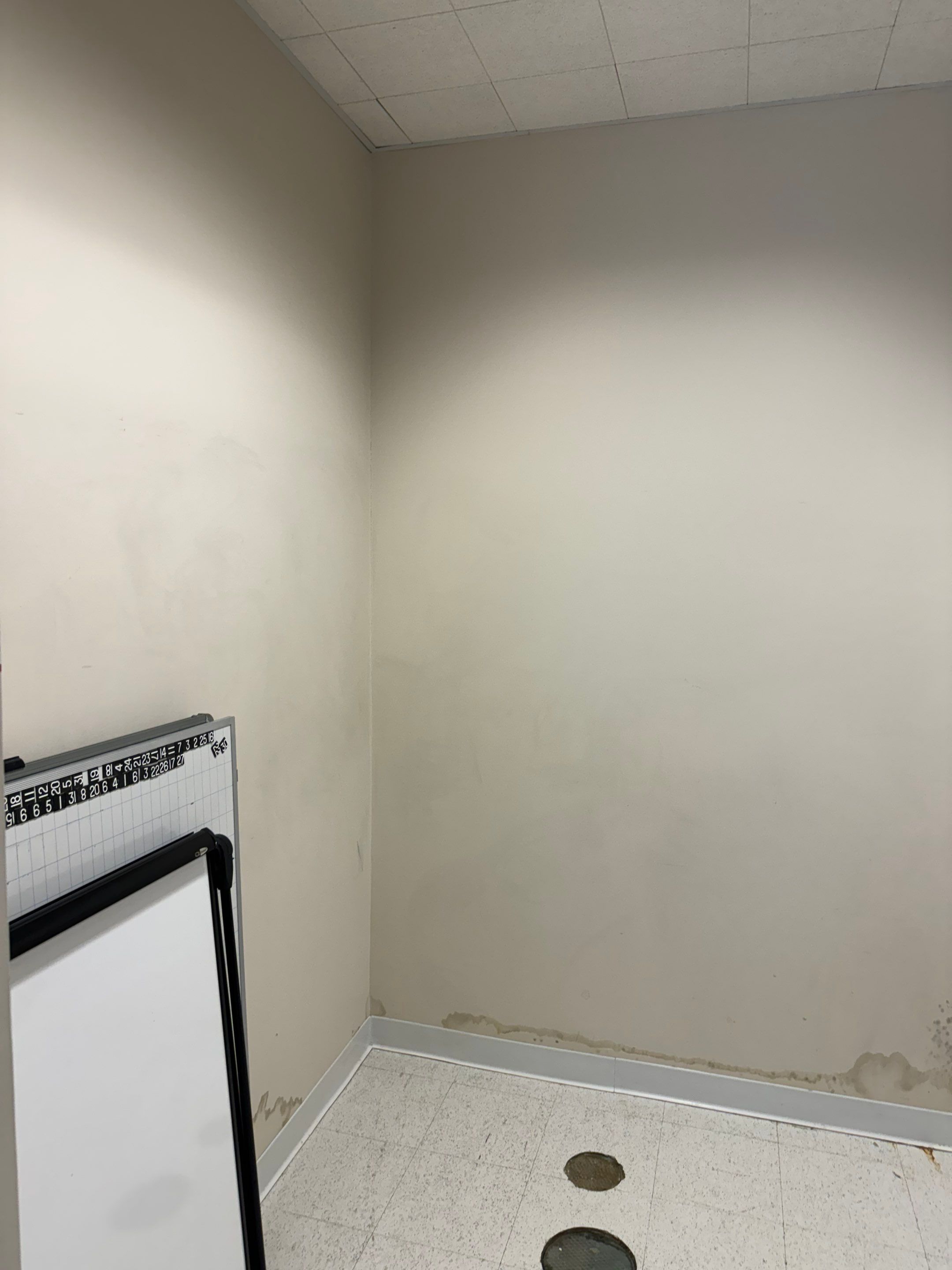 Mold Remediation Fairfield NJ by Pure Service Pro, LLC 