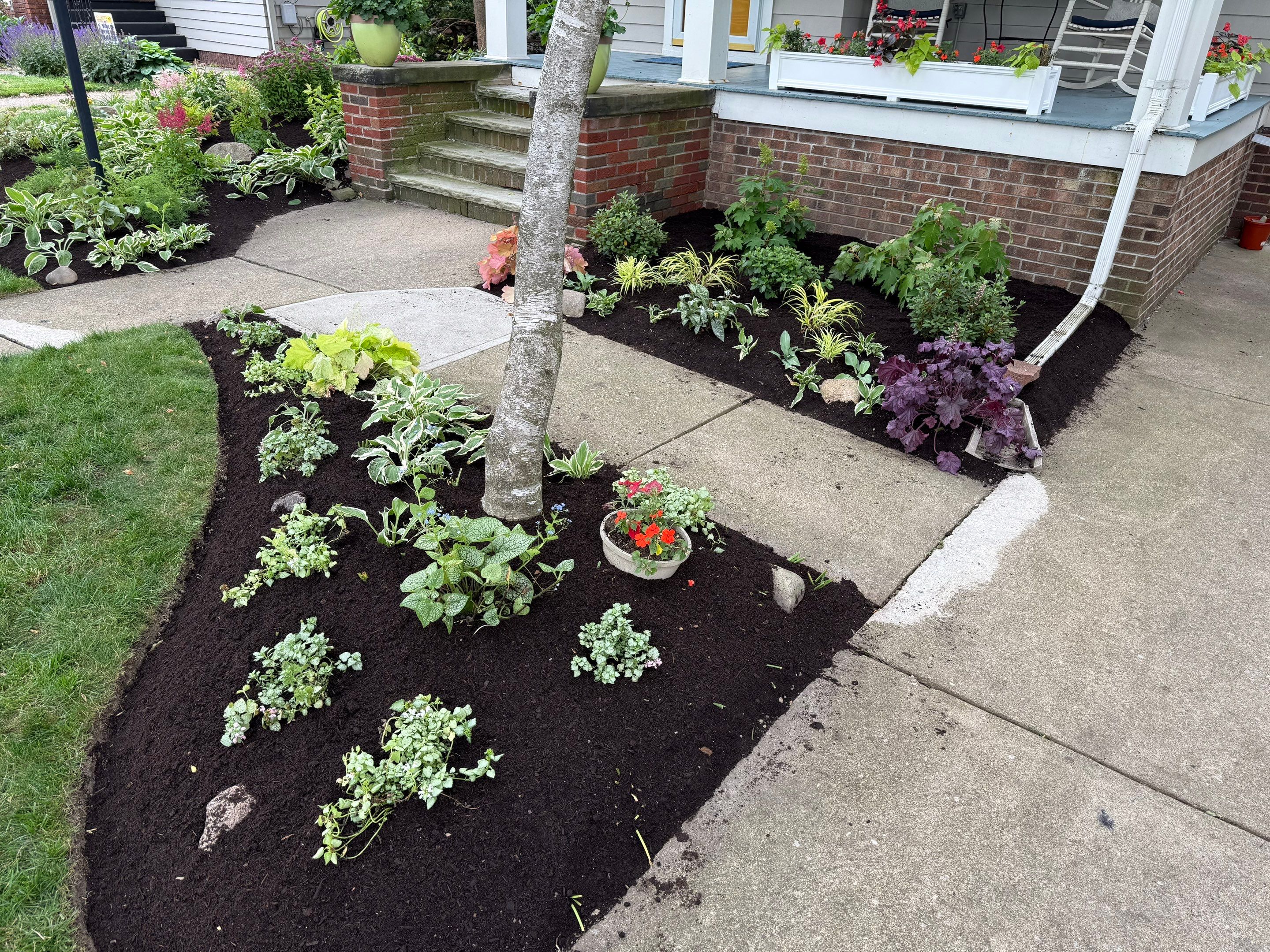 Woodland Flora Project by Elm Rose Gardens