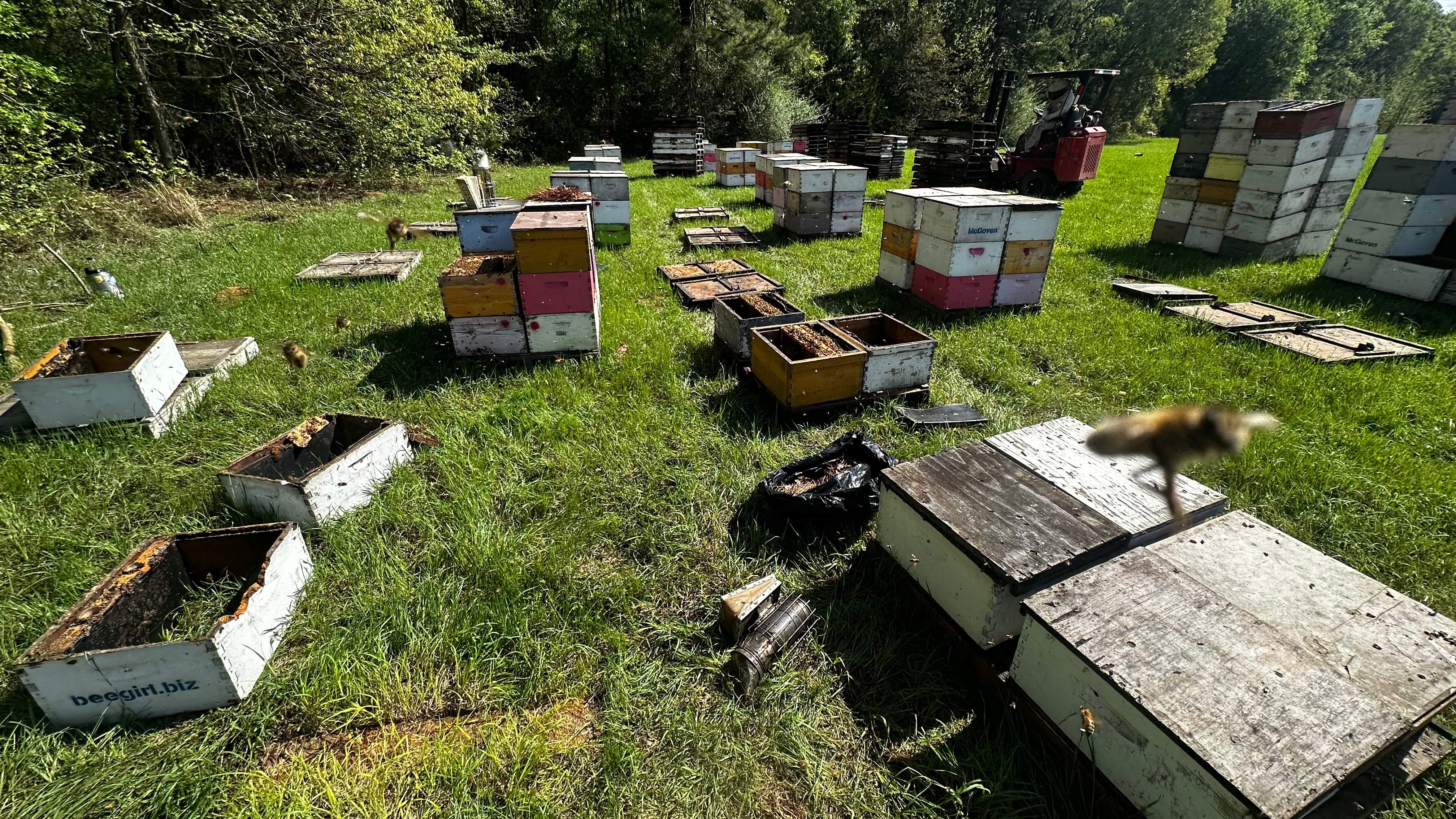 Traylor's Hay Meadow Apiary by Rockwall Honey Bee Company