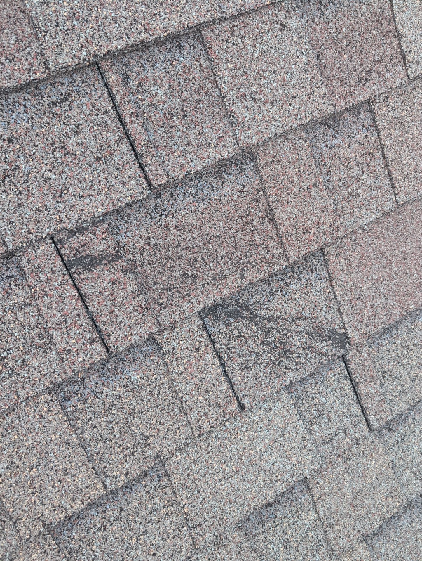 Roof Replacement in Cape Fair by Table Rock Design + Build