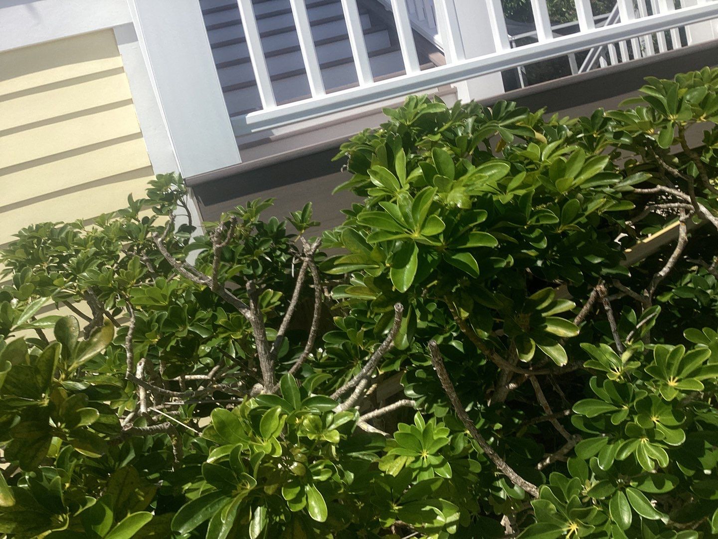 3x4 elbow Downspouts Installation in Captiva FL by Gutter Professors