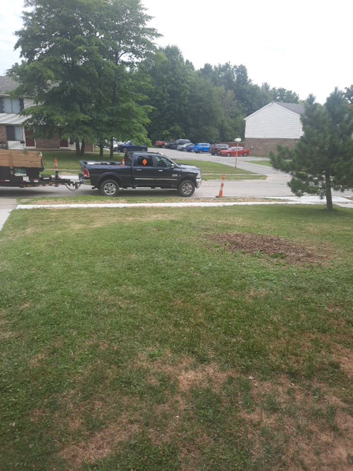 Tree Removal using Tree Removal by Mike Jones & Sons Tree Service LLC 