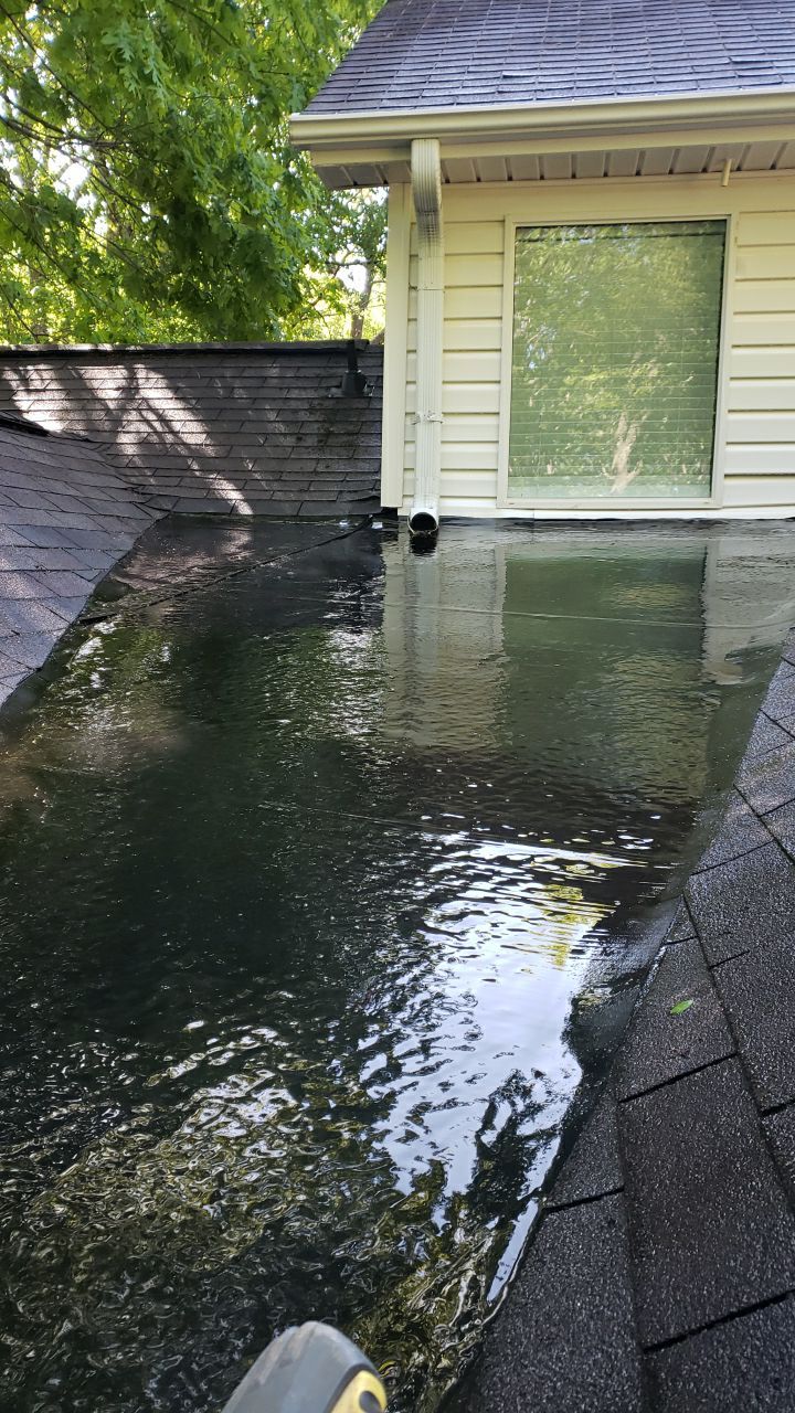House Wash using cleaner by Power Wash Masters LLC