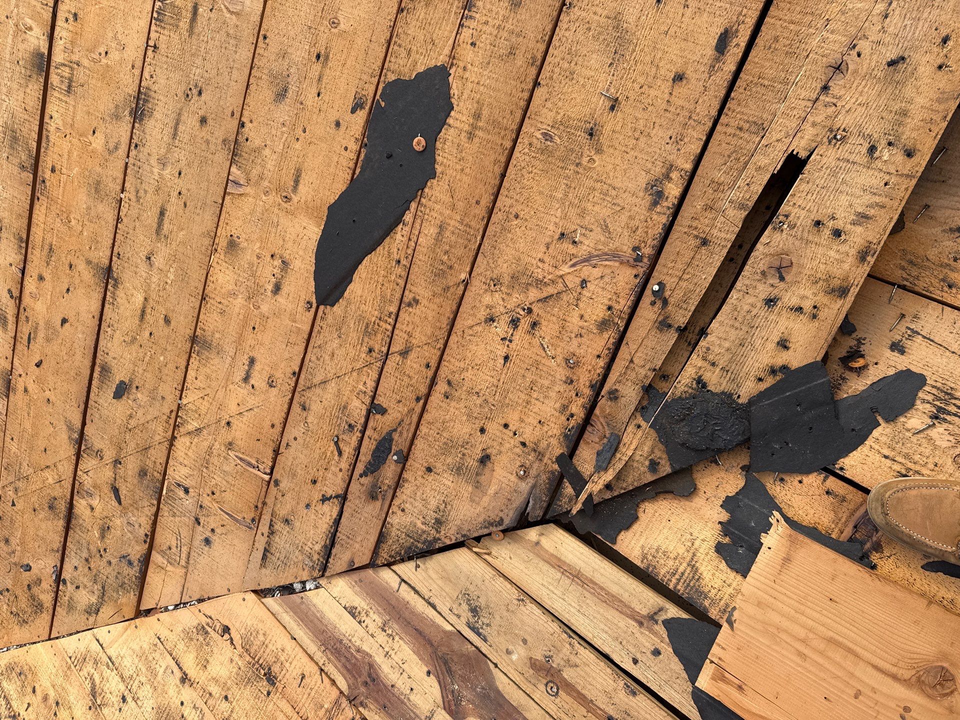 Project in St. Petersburg 33713 by Mitchell Roofing Company LLC