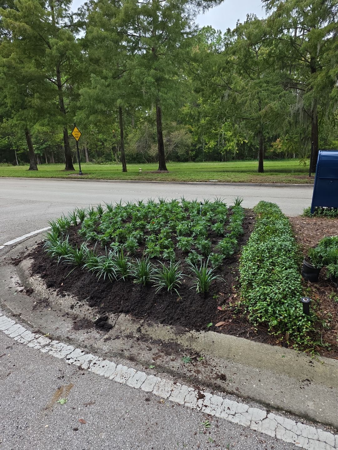 Deerwood Community | Baymeadows Gate by ProGreen Services