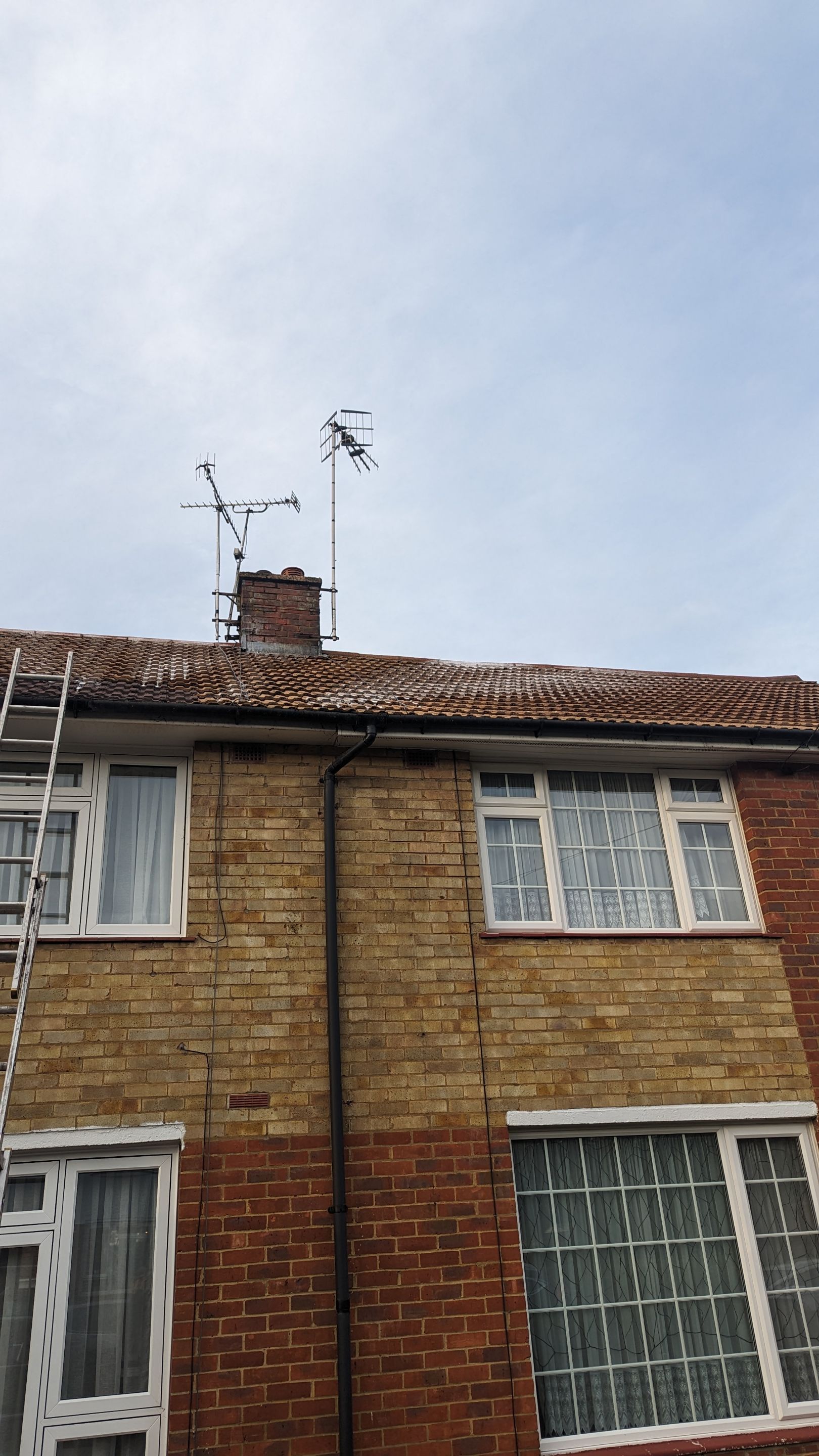 Roof Cleaning and Biocide Treatment using Honda 15lpm Low Pressure Washing Machine by Ges Exterior Cleaning ltd