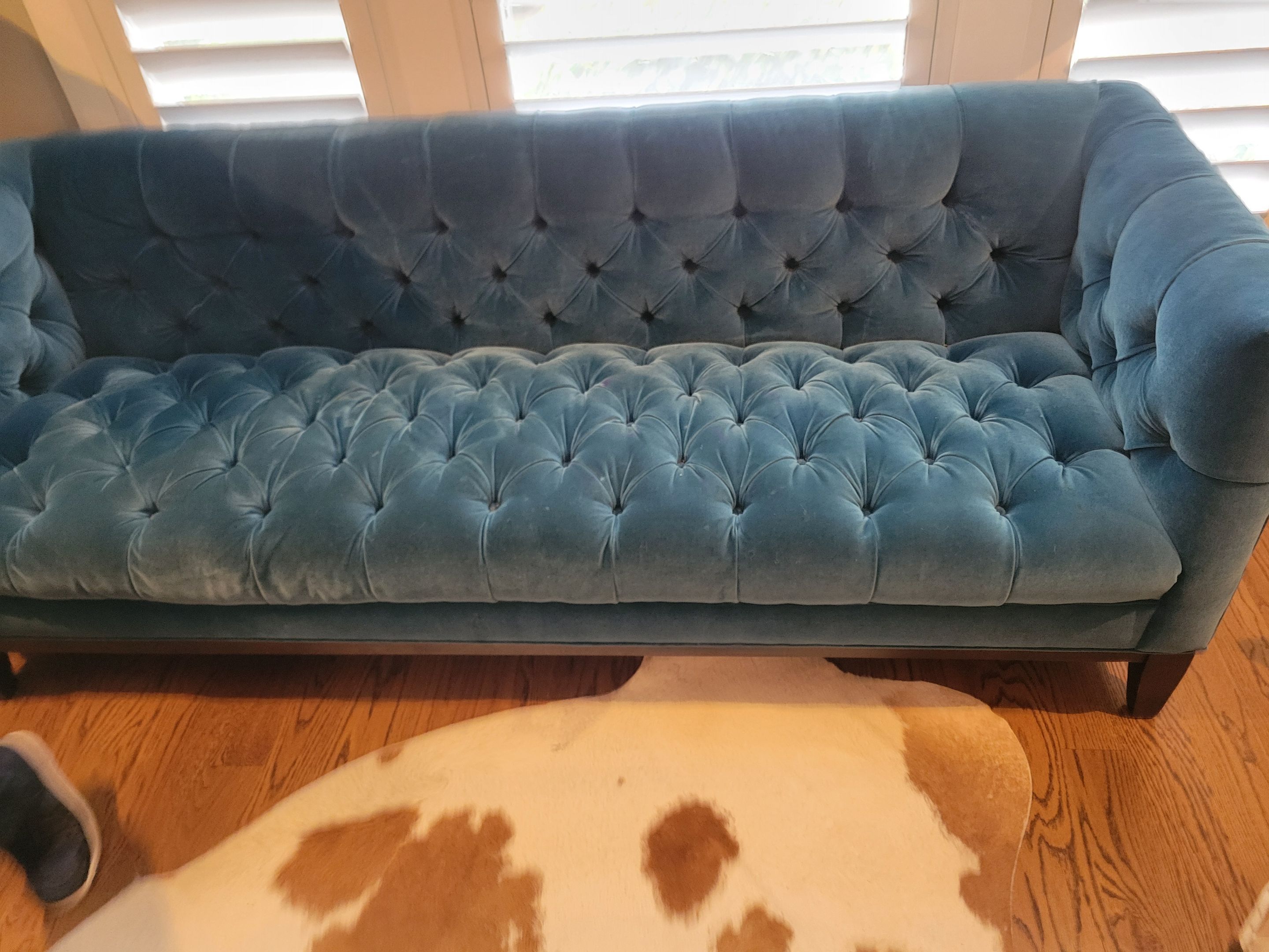 Upholstery Cleaning of a Velvet Sofa by Ardent Carpet Restore LLC