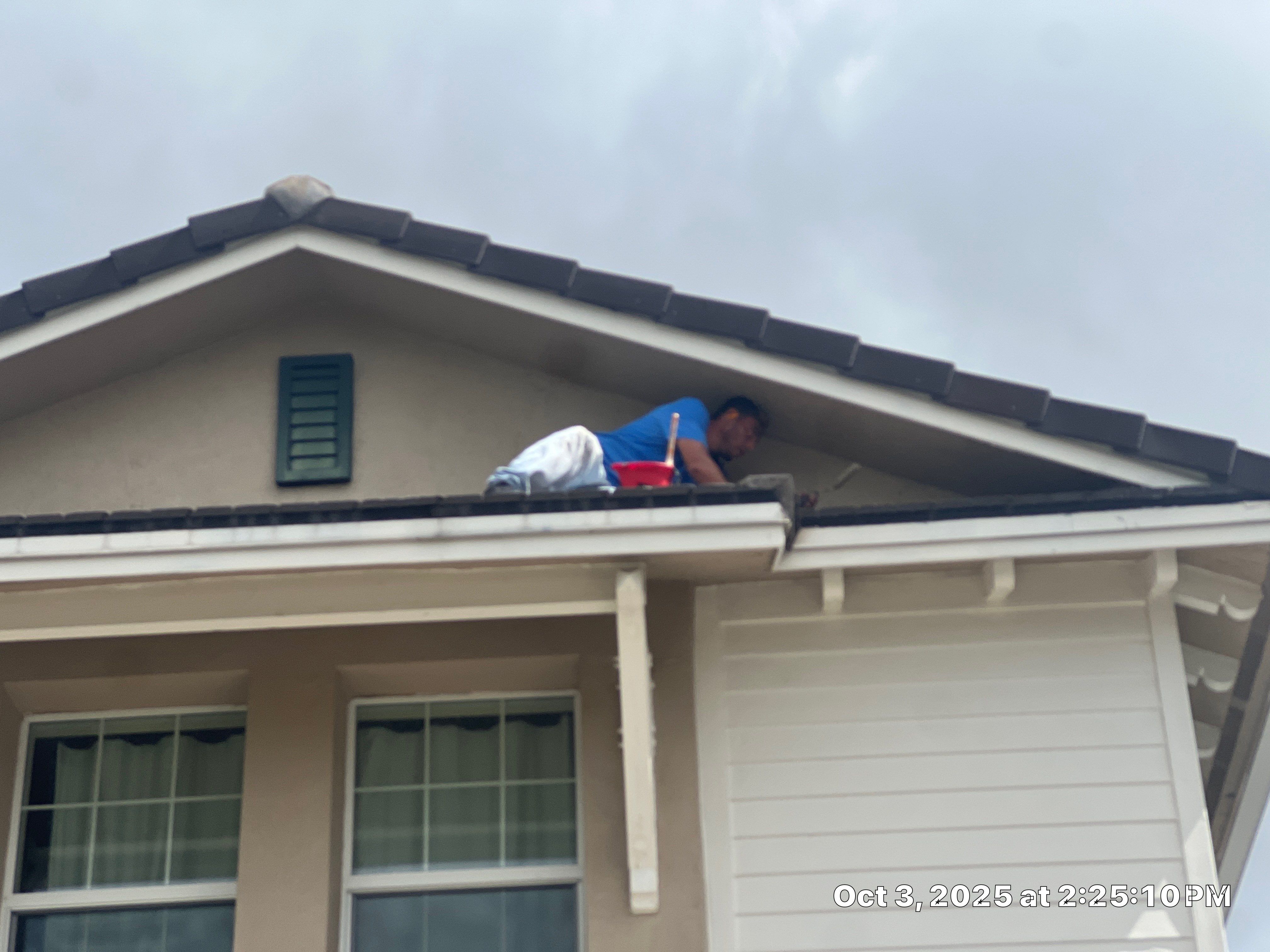 Heron Bay Parkland Painting by BKB Pressure Cleaning LLC