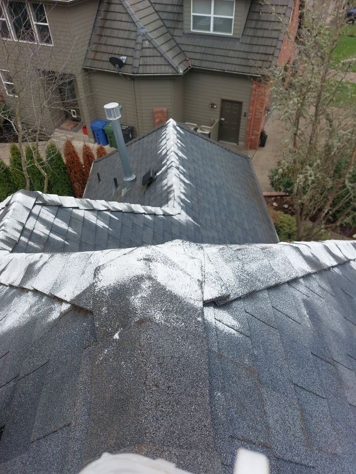 Roof Cleaning  using Moss Treatment  by BEST Roofing & Waterproofing
