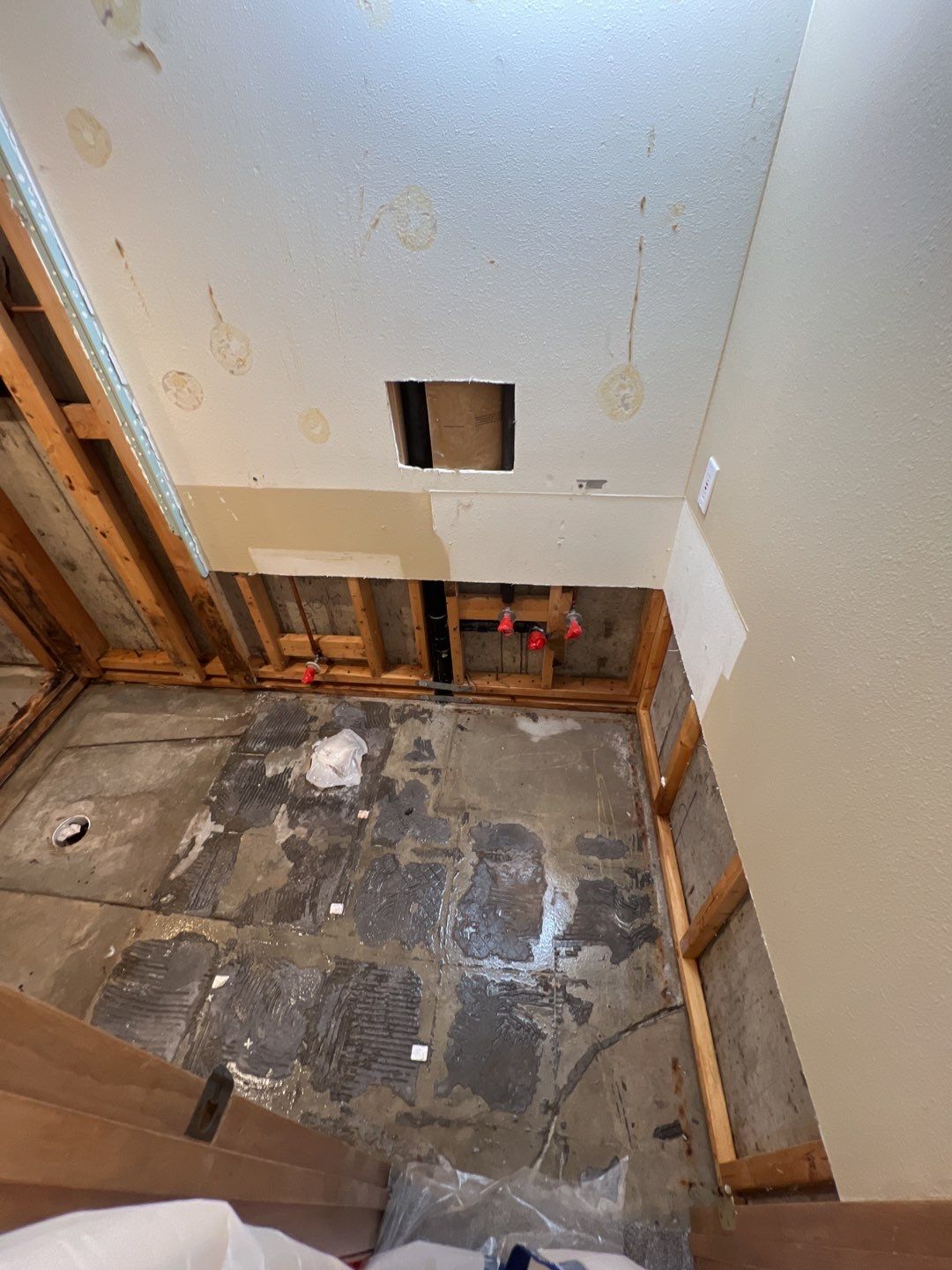 Mold Remediation by Accountable Home Services