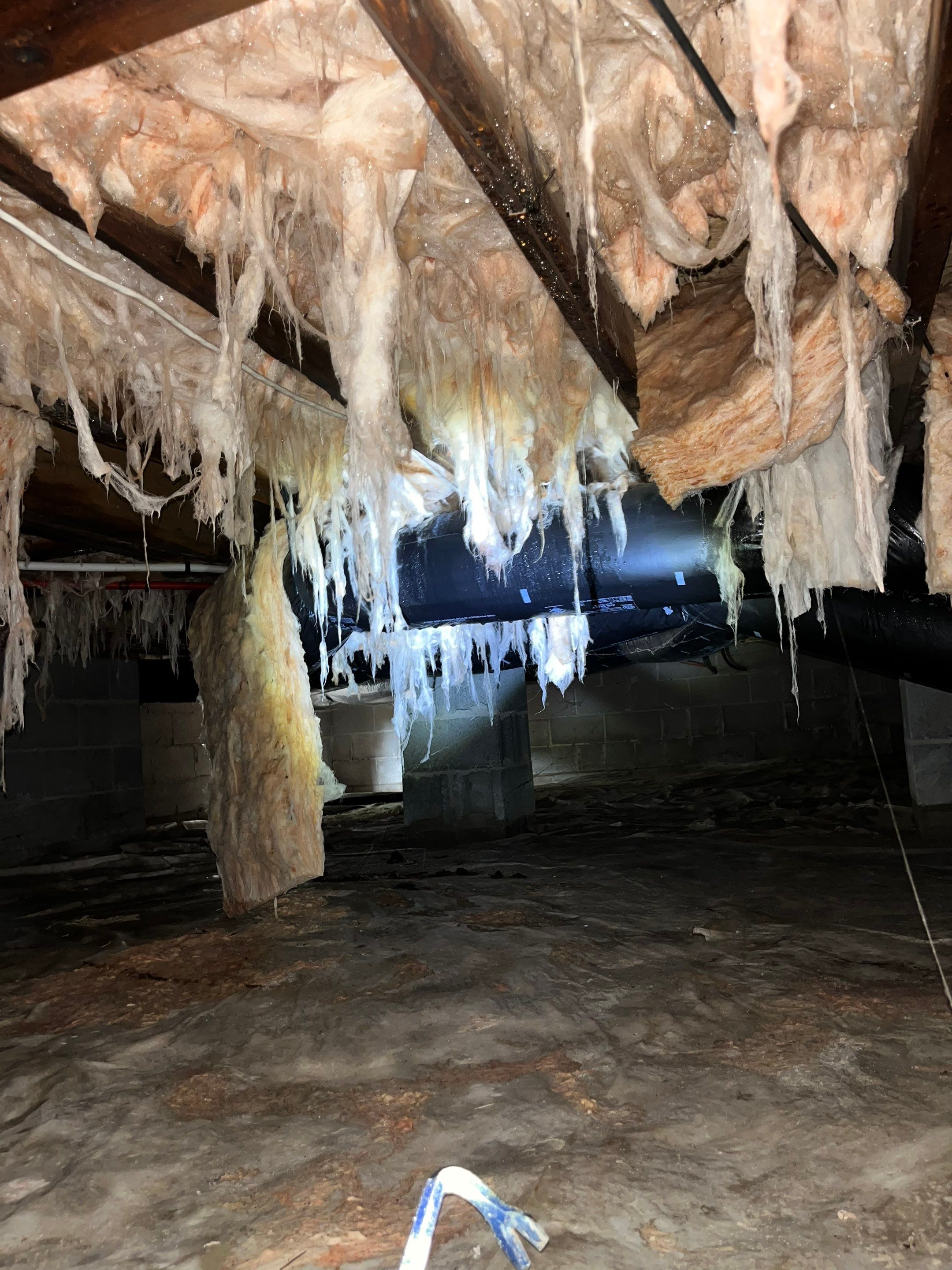 Premium Encapsulation with Bora-Foam using Bora-Foam Insulation by Impact Crawlspace