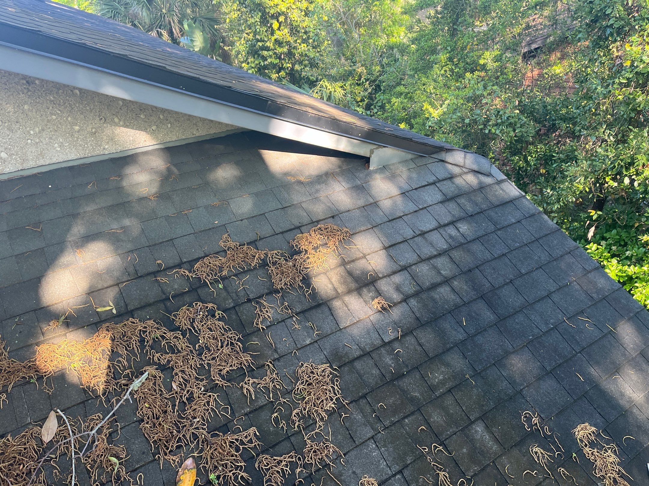 Shingle -> Metal by Prime Roofing