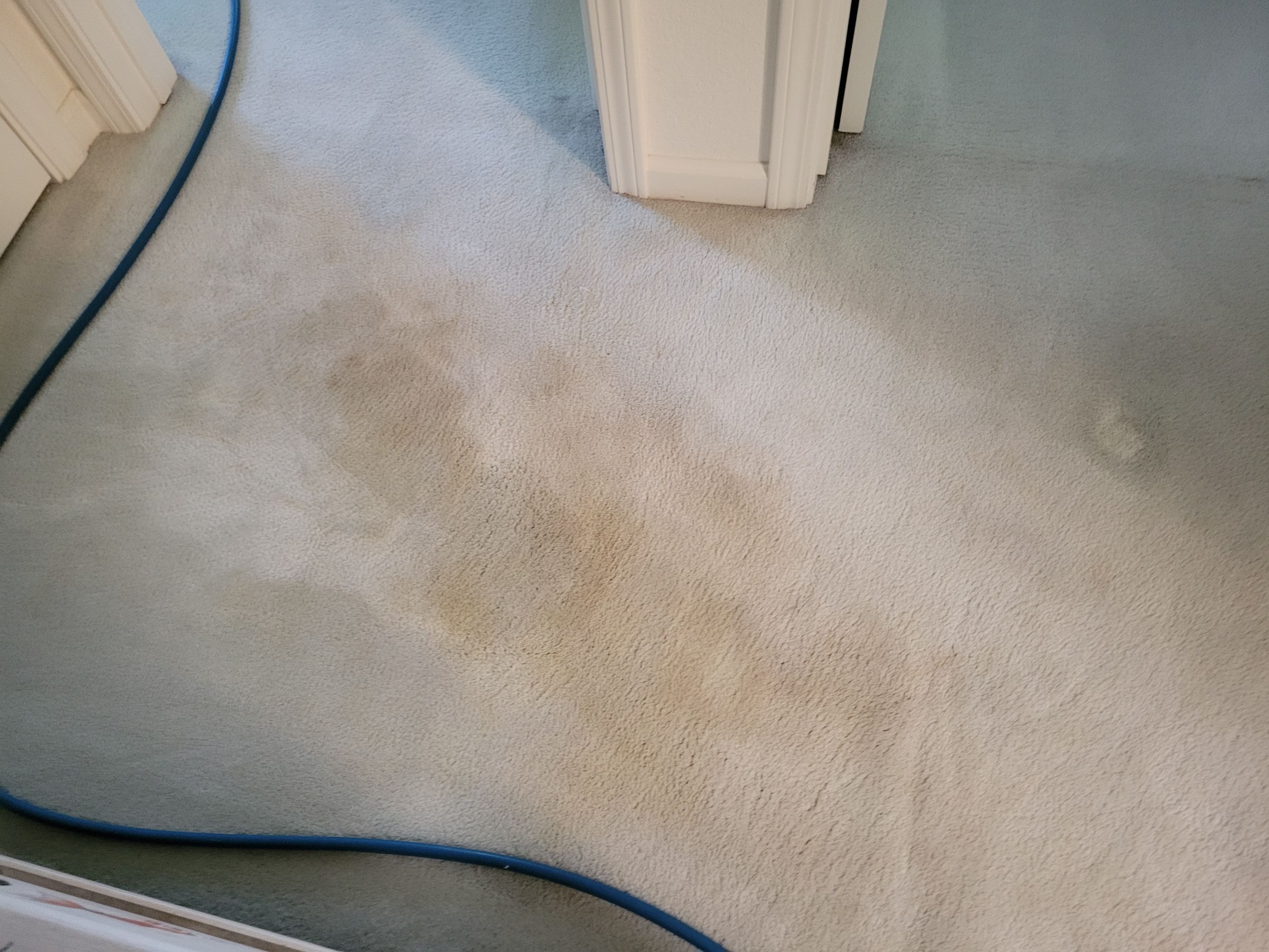 Annual Carpet Cleaning of an EDH Home by Ardent Carpet Restore LLC
