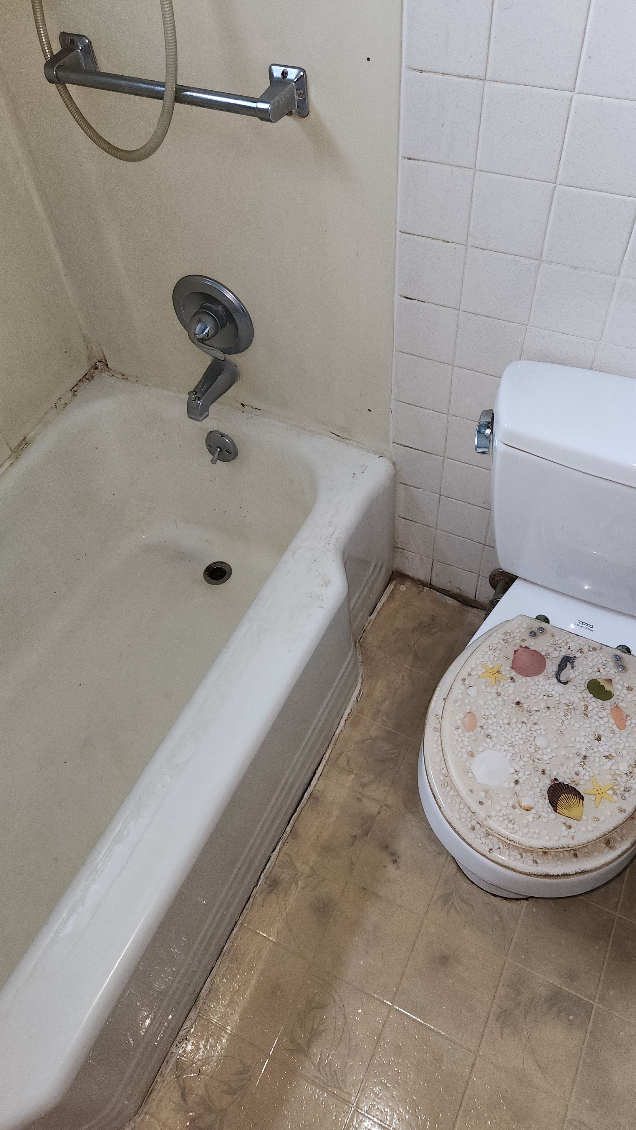 Amazing Transformation by The Shower Company