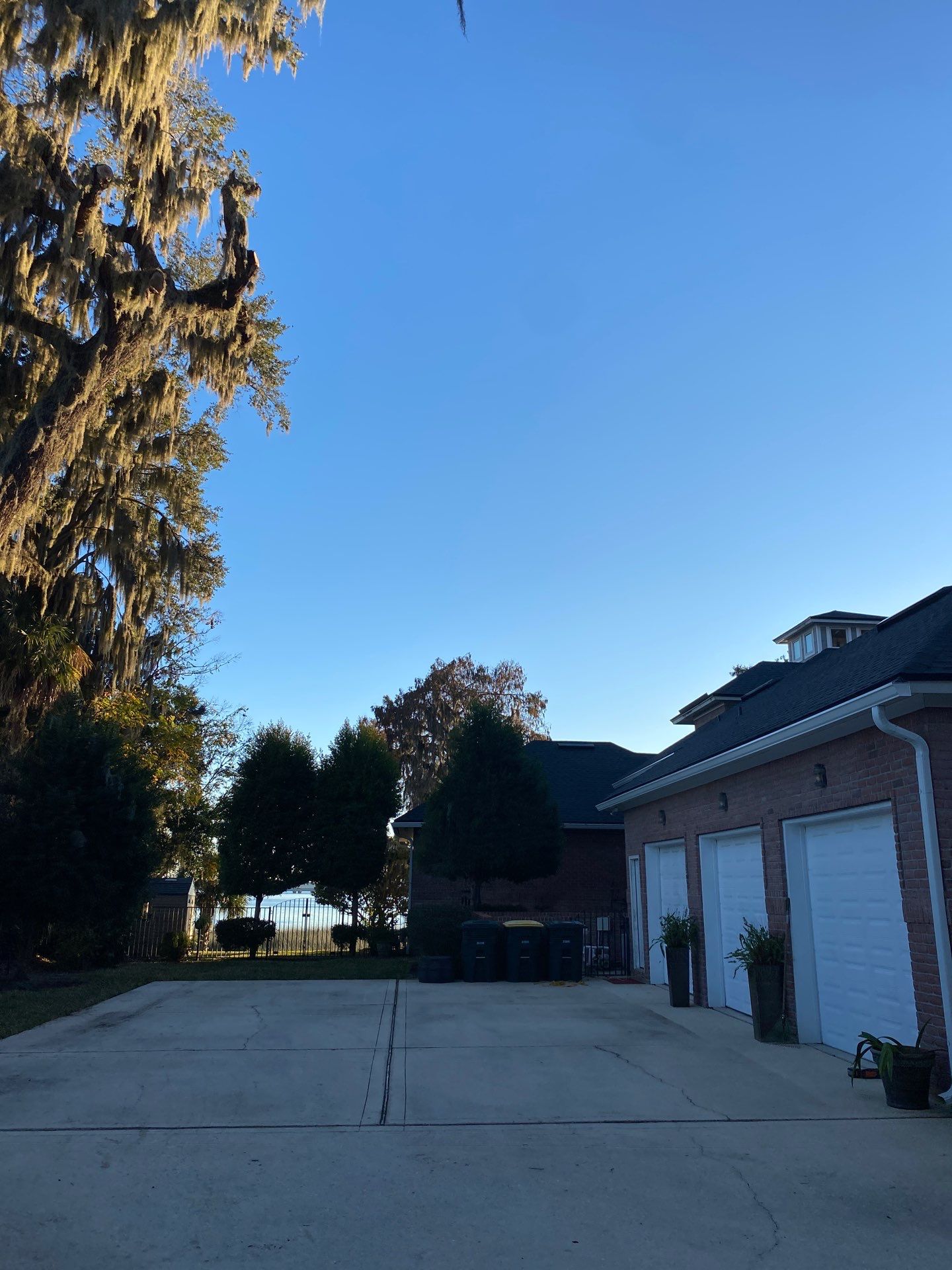 Residential | Tree Service by ProGreen Services