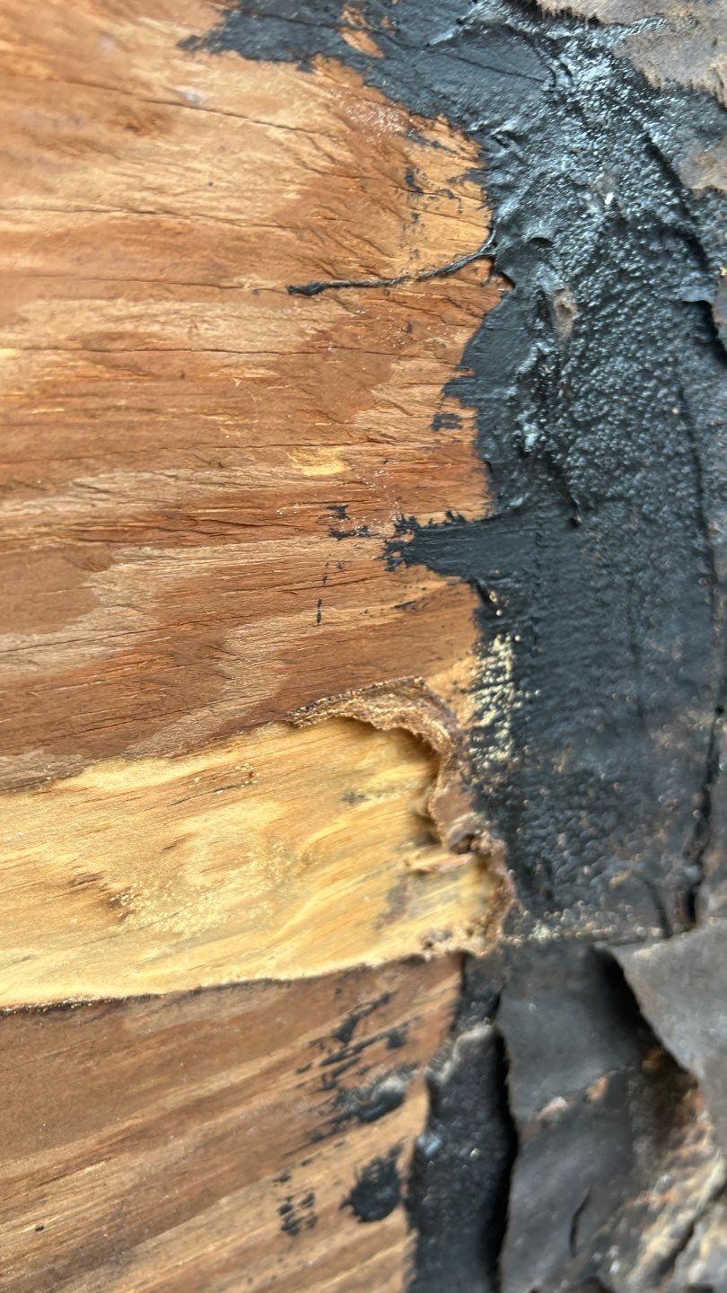 Natures Cove Rd., Dania Beach, FL by G&J Roofing 