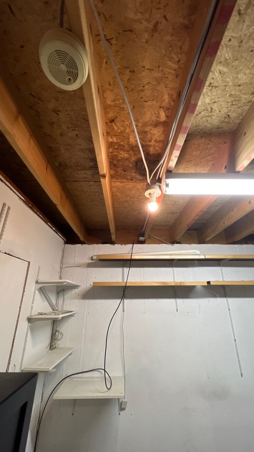 Mold Damage by Accountable Home Services