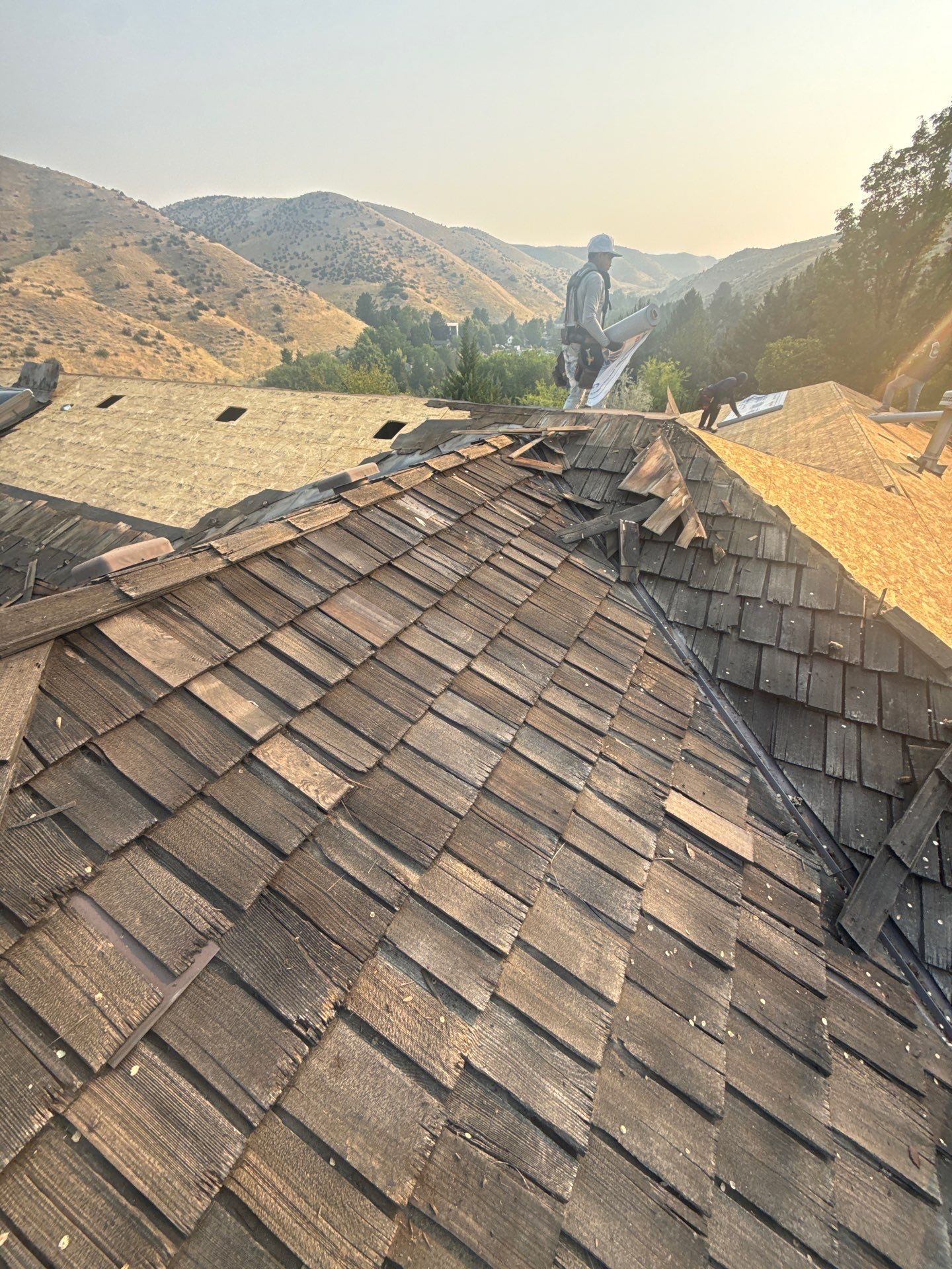 Cedar Shake to IKO Dynasty Shingle Roof Replacement in Boise by Olive Roofing