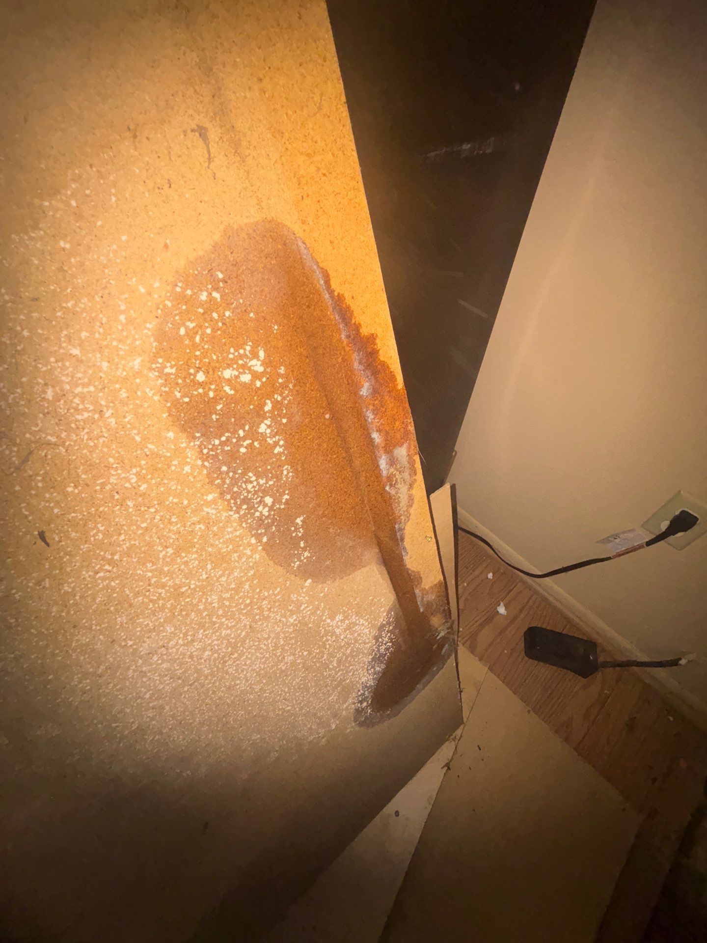 Commercial Mold Damage In Sarasota by Ampm Restoration Services