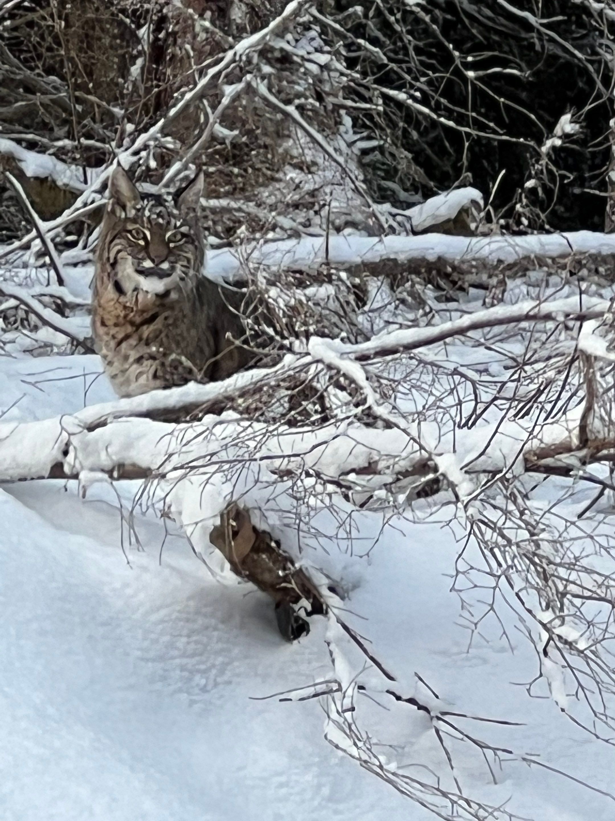Residential Roofing Installation using 12" Prolok metal  by Top Notch Roofing Inc