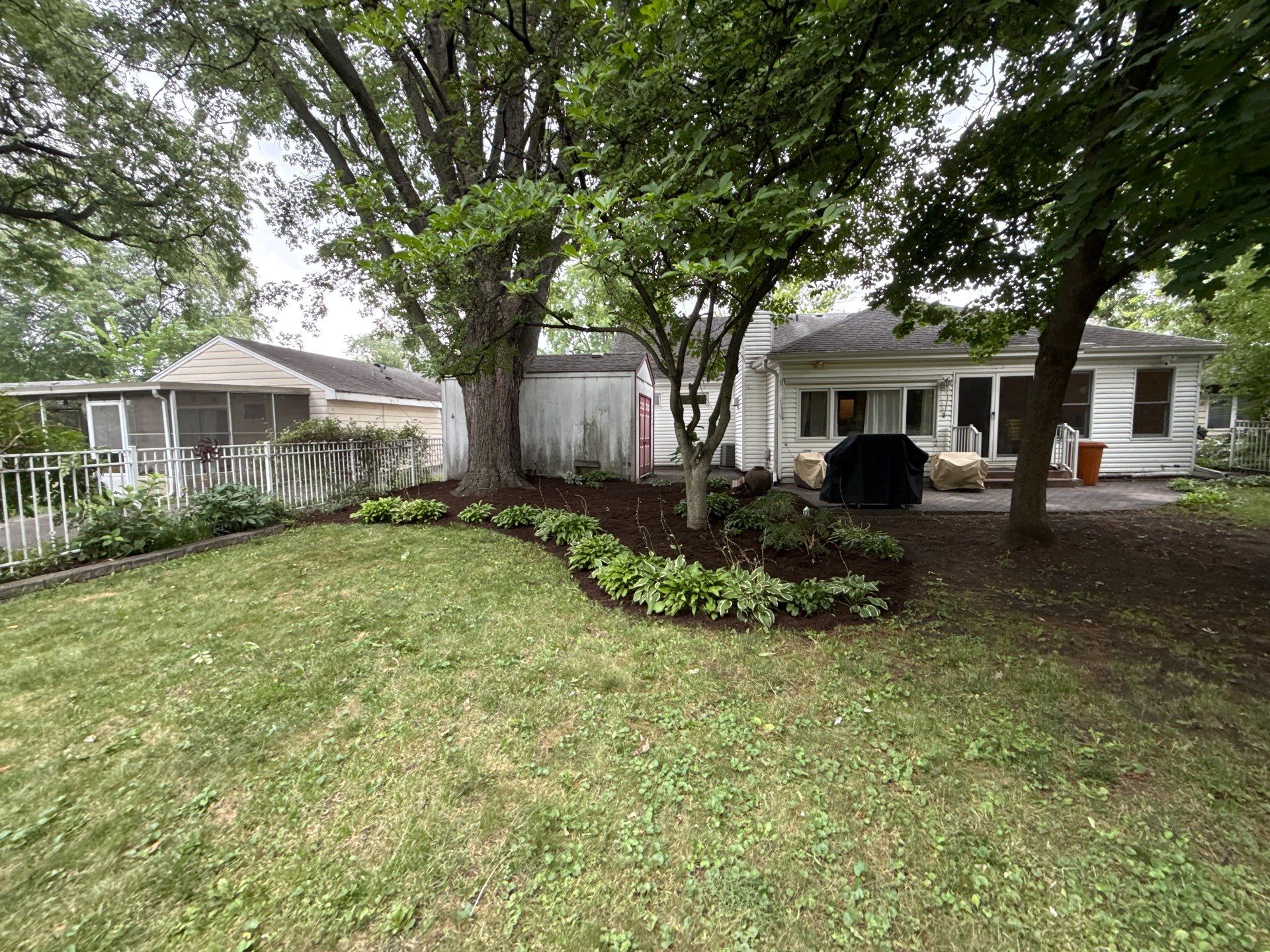 Steven L. - Park Ridge, IL by A&N