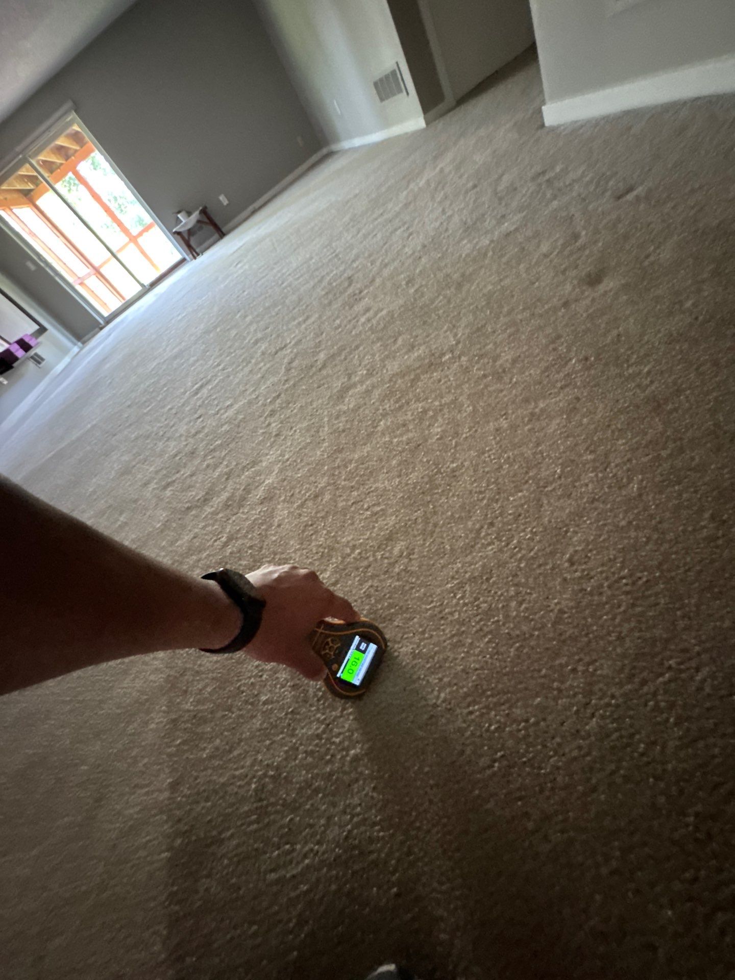 Project in Novi by EzDry Water Mitigation & Property Restoration