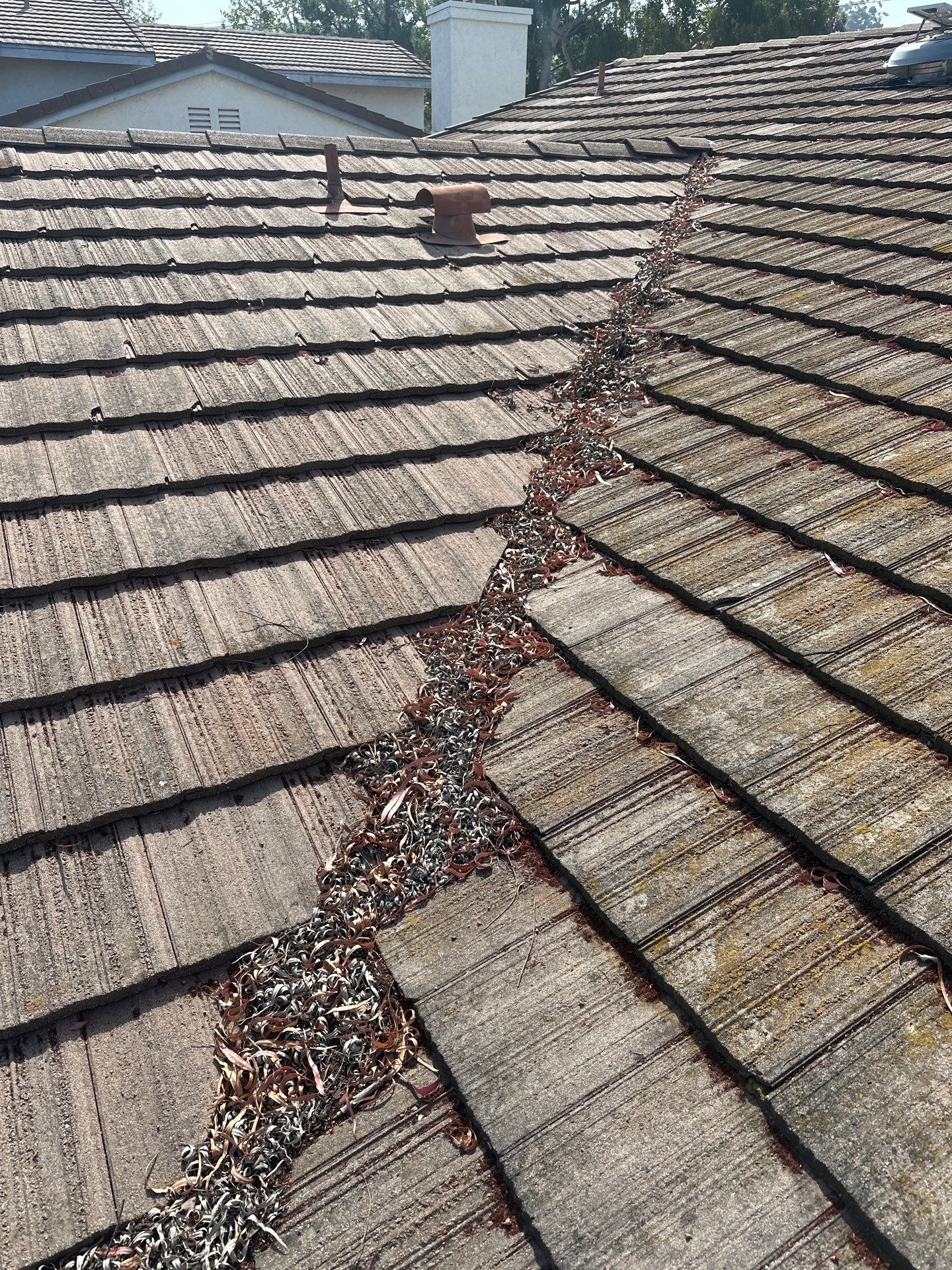 Orange County Roof Washing in Lake Forest by Property Cleaning Experts