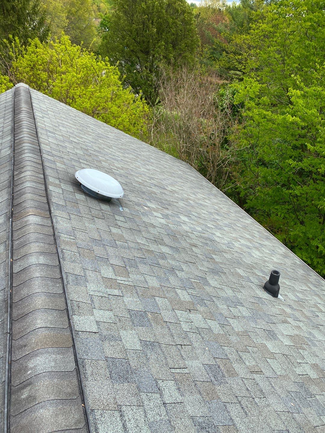 Alexandria: CertainTeed Landmark Pro Designer Shingles in Max Def Colonial Slate by RM Banning, Inc.