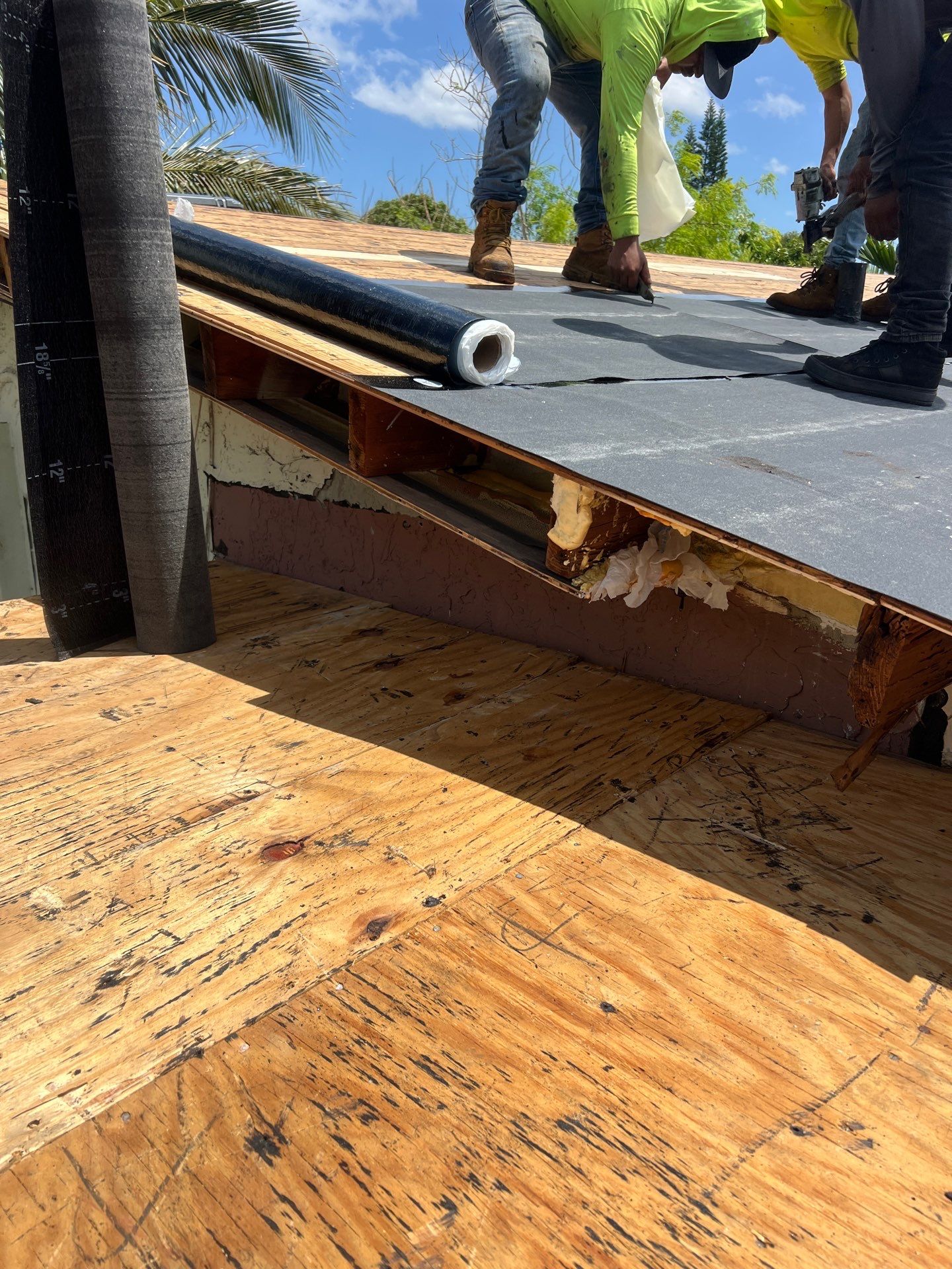 Beautiful Blue Shingle Re-Roof in Hollywood! by First Due Roofing