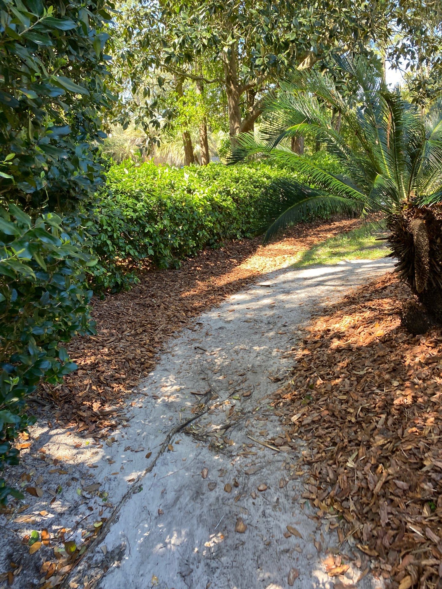 Deerwood Resident | Pine Bark Install by ProGreen Services